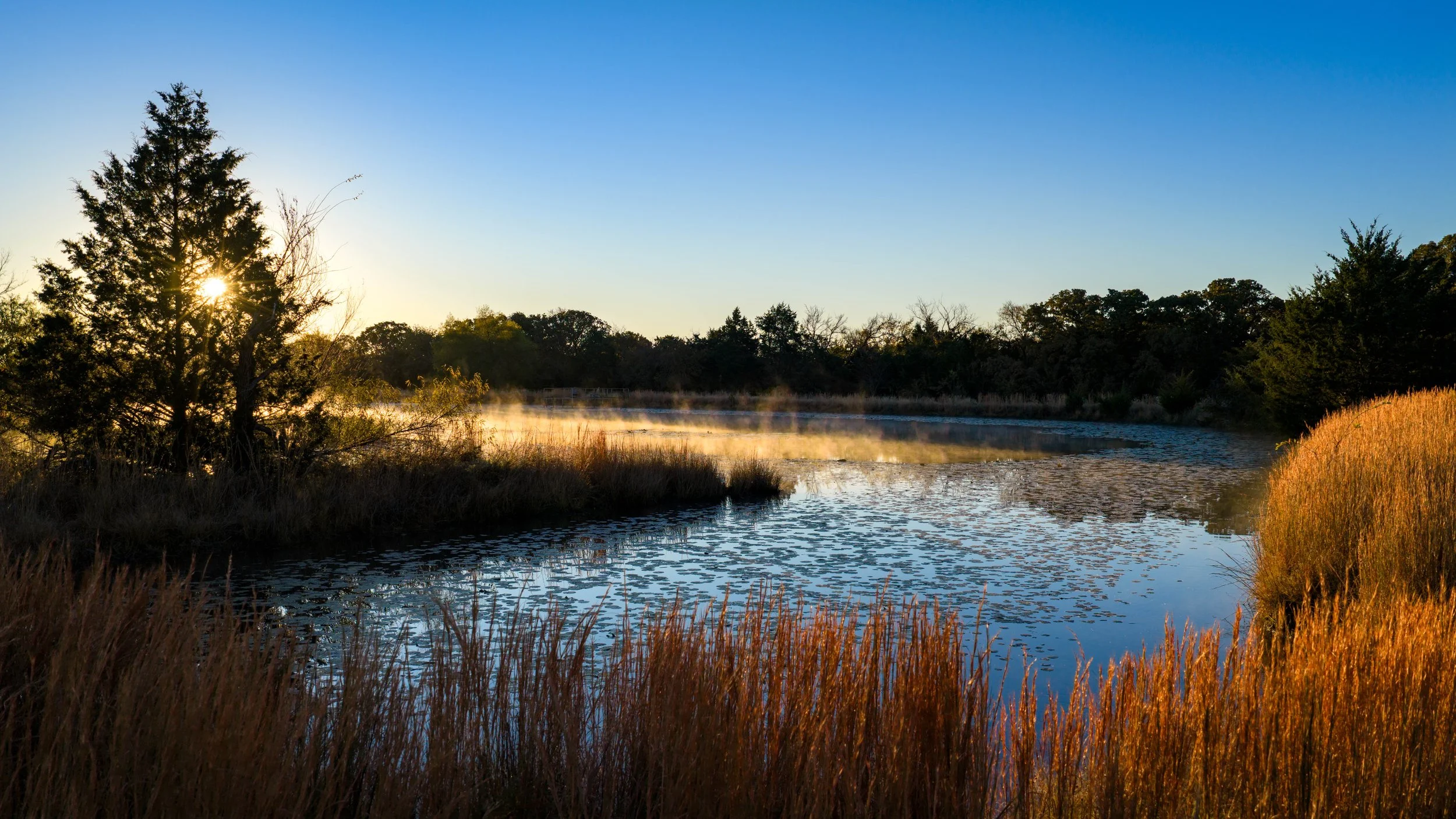 Copy of Copy of Copy of Red Hill Ranch -126.jpg