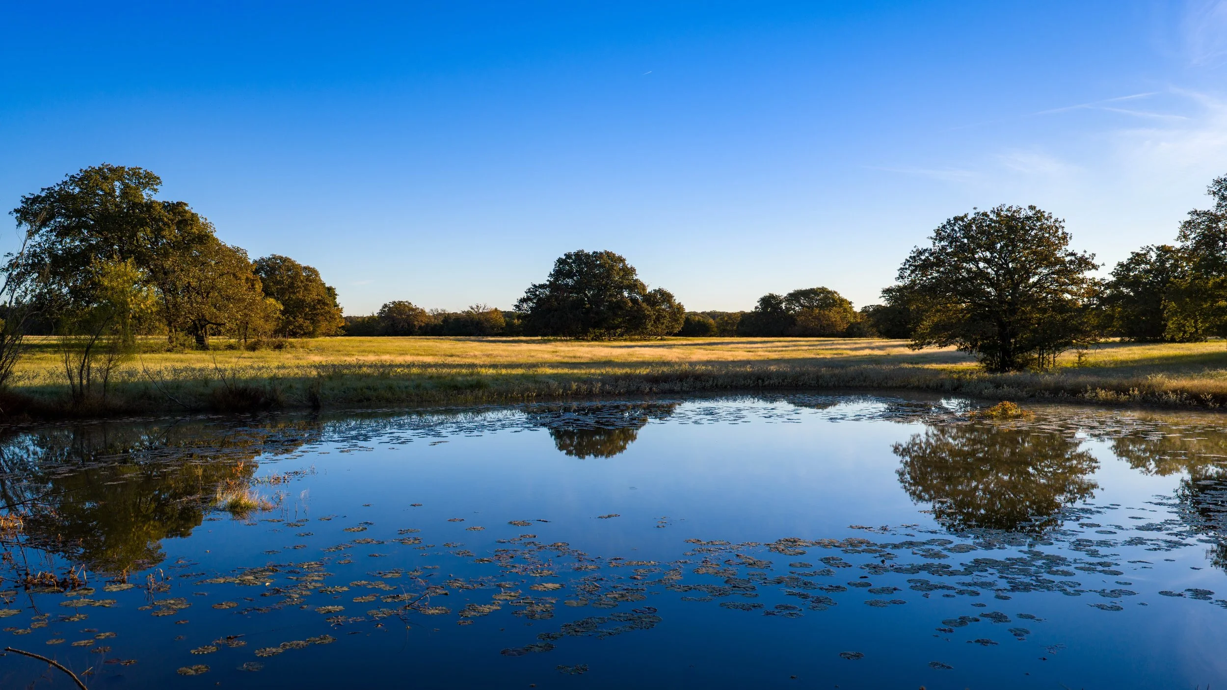 Copy of Copy of Copy of Red Hill Ranch -137.jpg