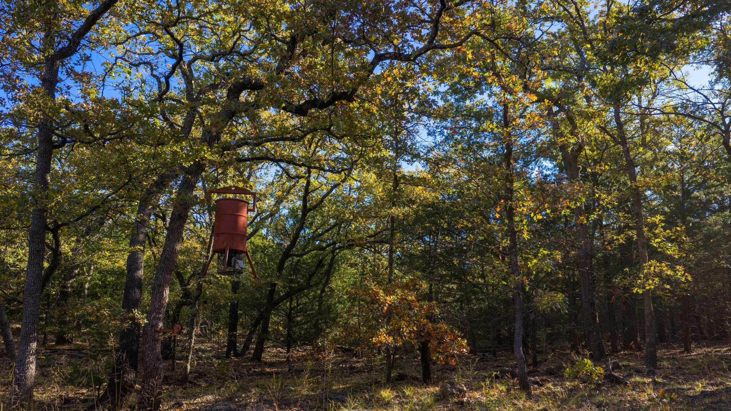 Copy of Copy of Copy of Red Hill Ranch -166.jpg