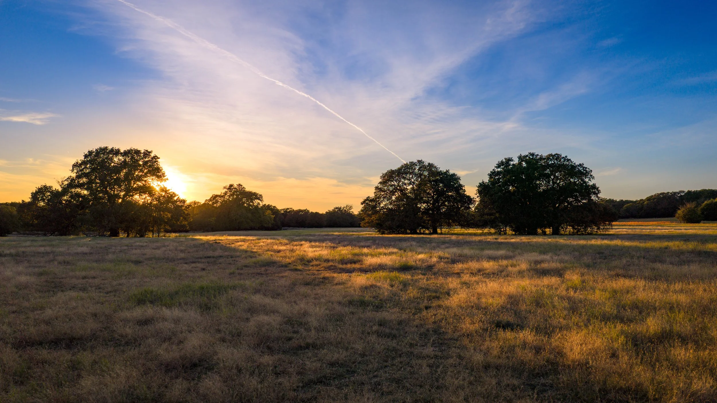 Copy of Copy of Copy of Red Hill Ranch -204.jpg