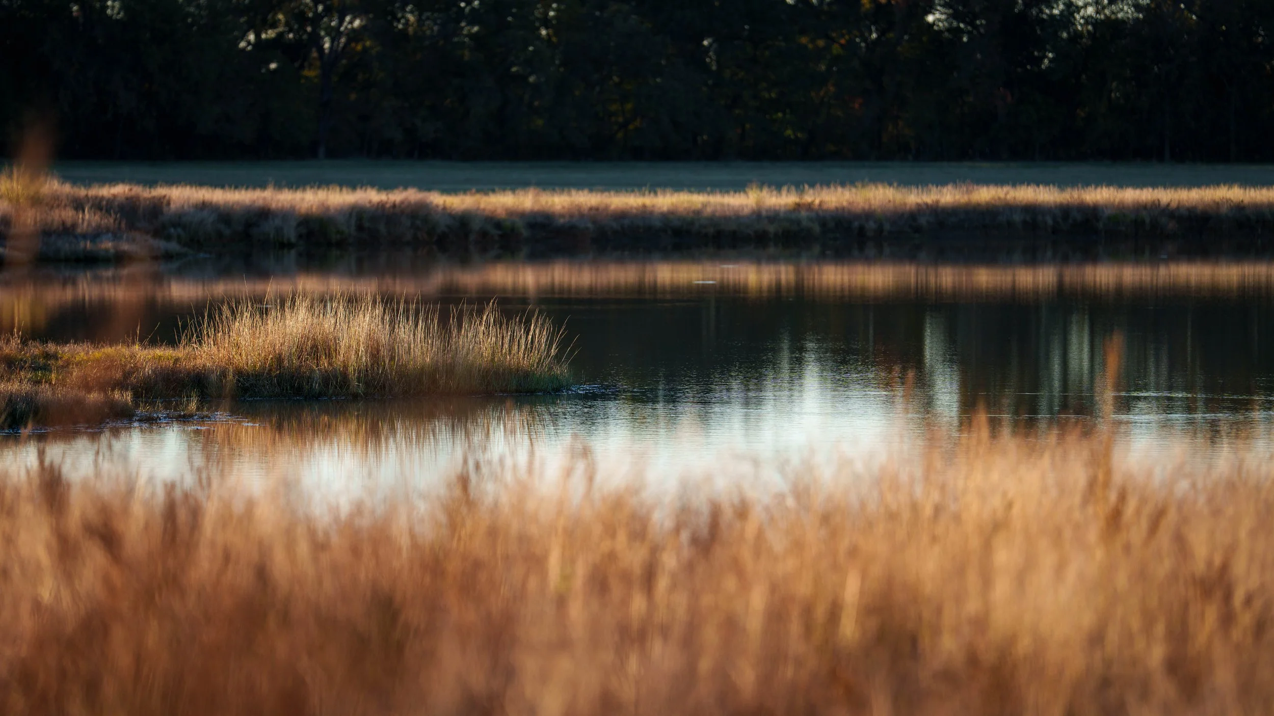 Copy of McGilvray Bridgeport Ranch-004.jpg