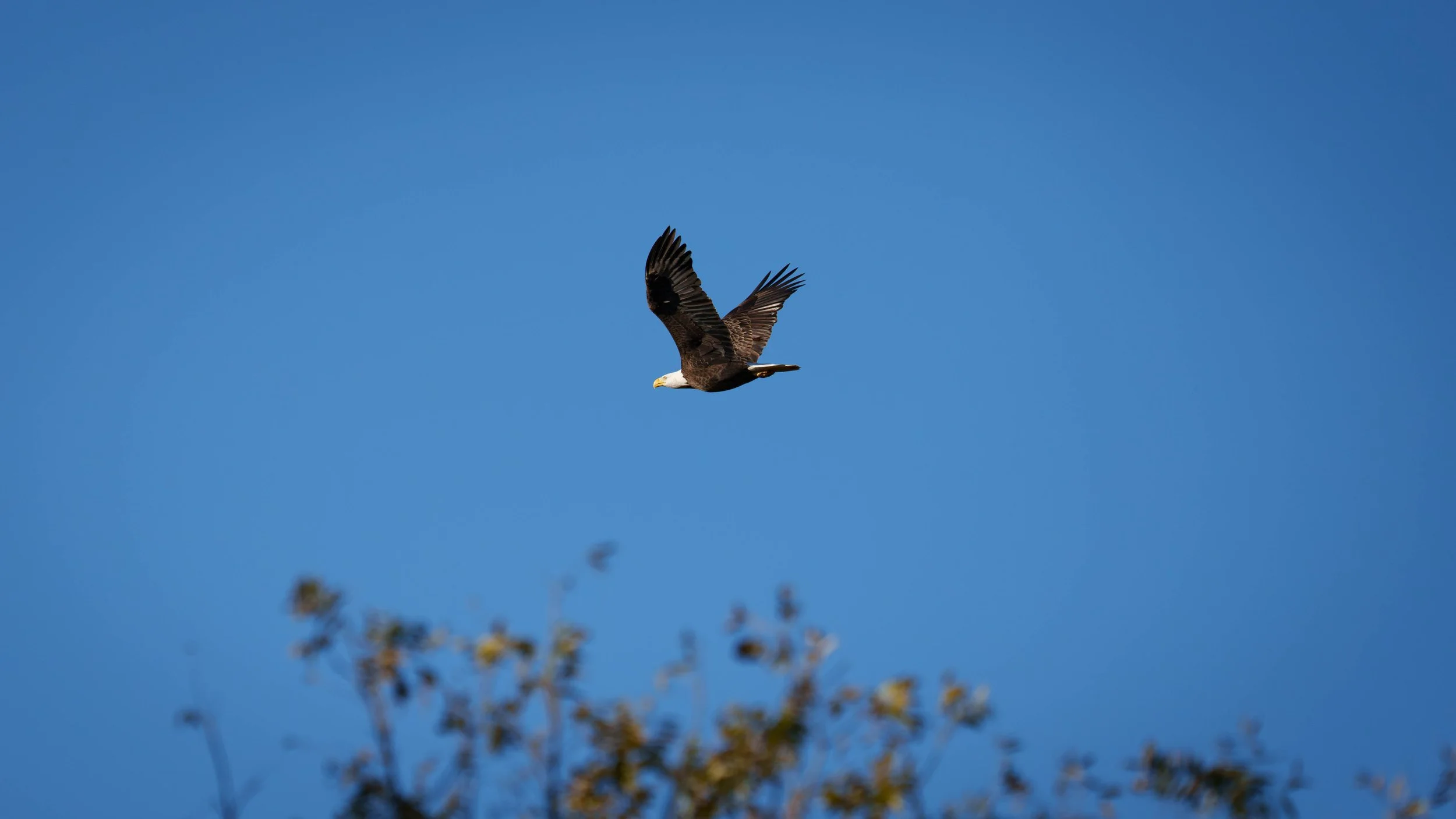 Copy of McGilvray Bridgeport Ranch-017.jpg