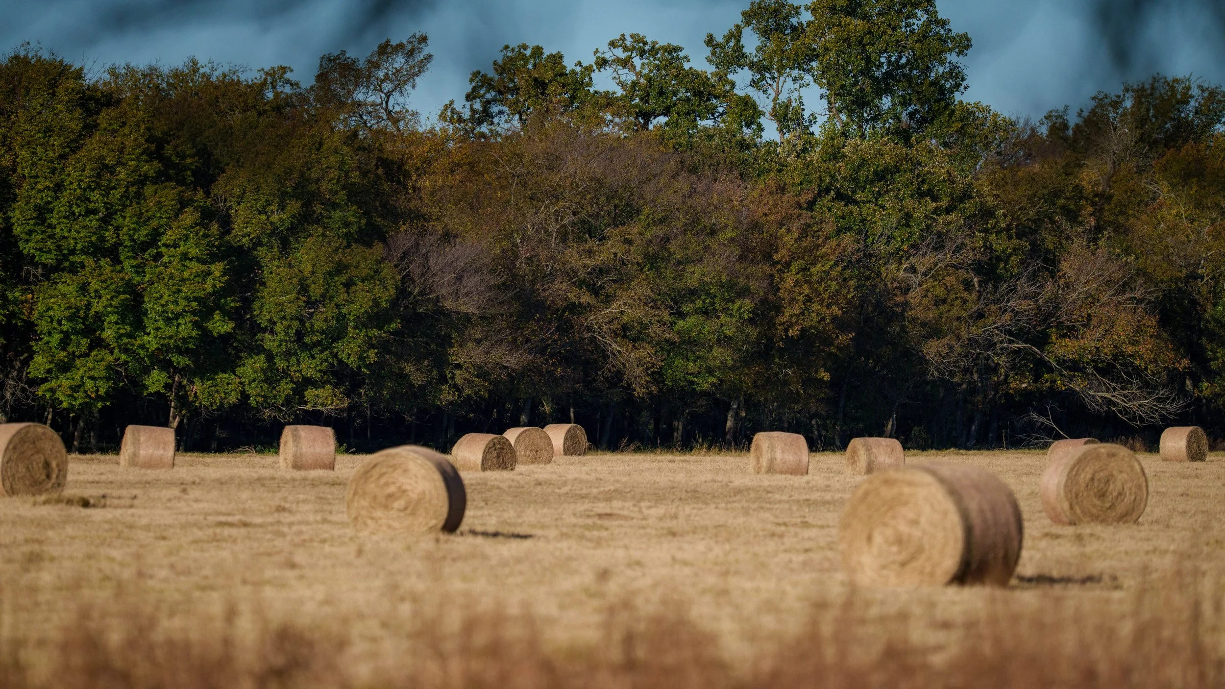 Copy of McGilvray Bridgeport Ranch-022.jpg
