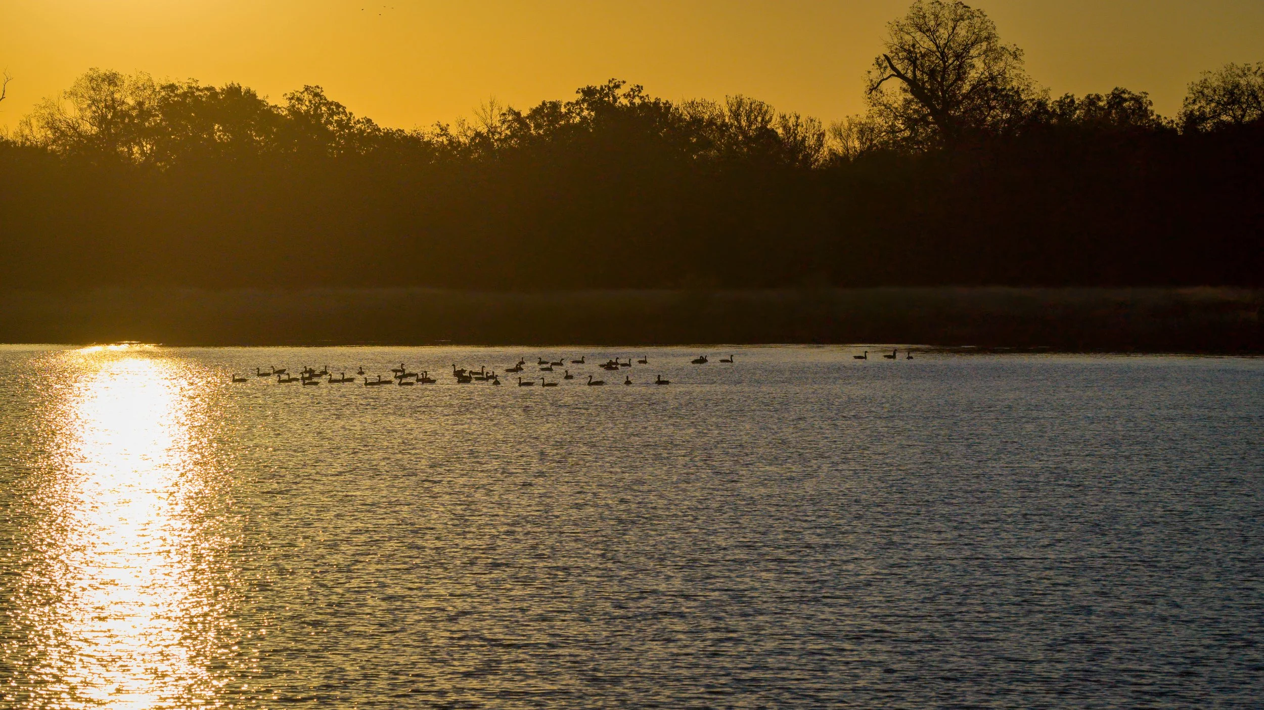 Copy of McGilvray Bridgeport Ranch-073.jpg