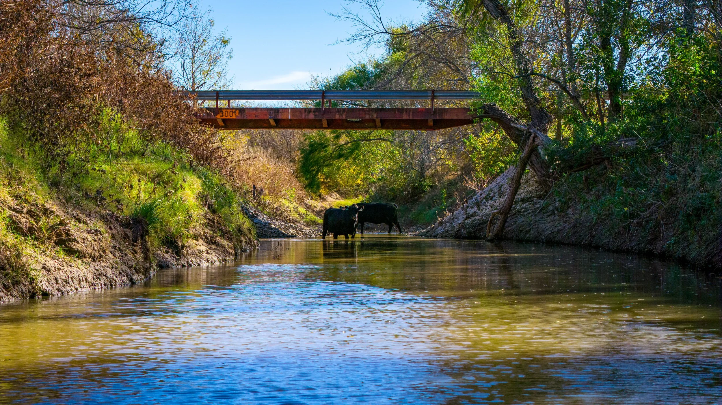 Copy of McGilvray Bridgeport Ranch-133.jpg