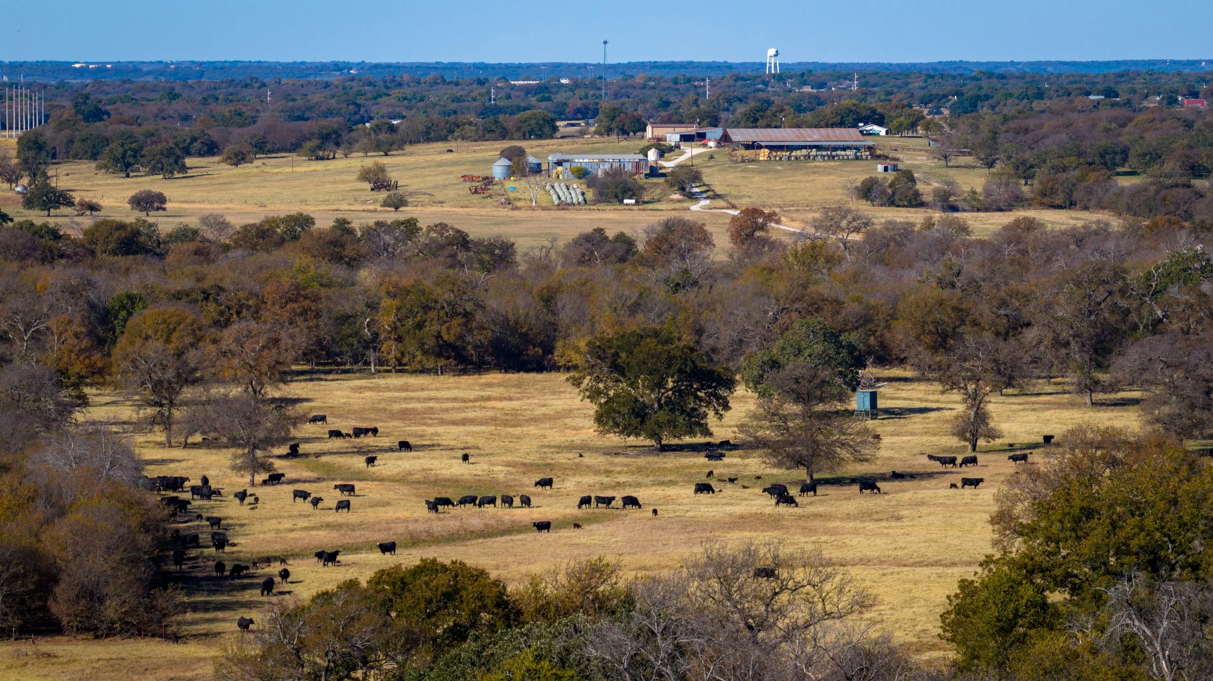 Copy of McGilvray Bridgeport Ranch-134.jpg