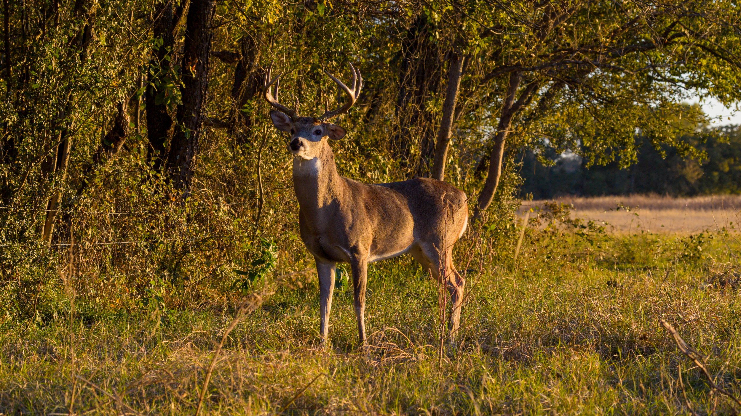 Copy of McGilvray Bridgeport Ranch-194.jpg