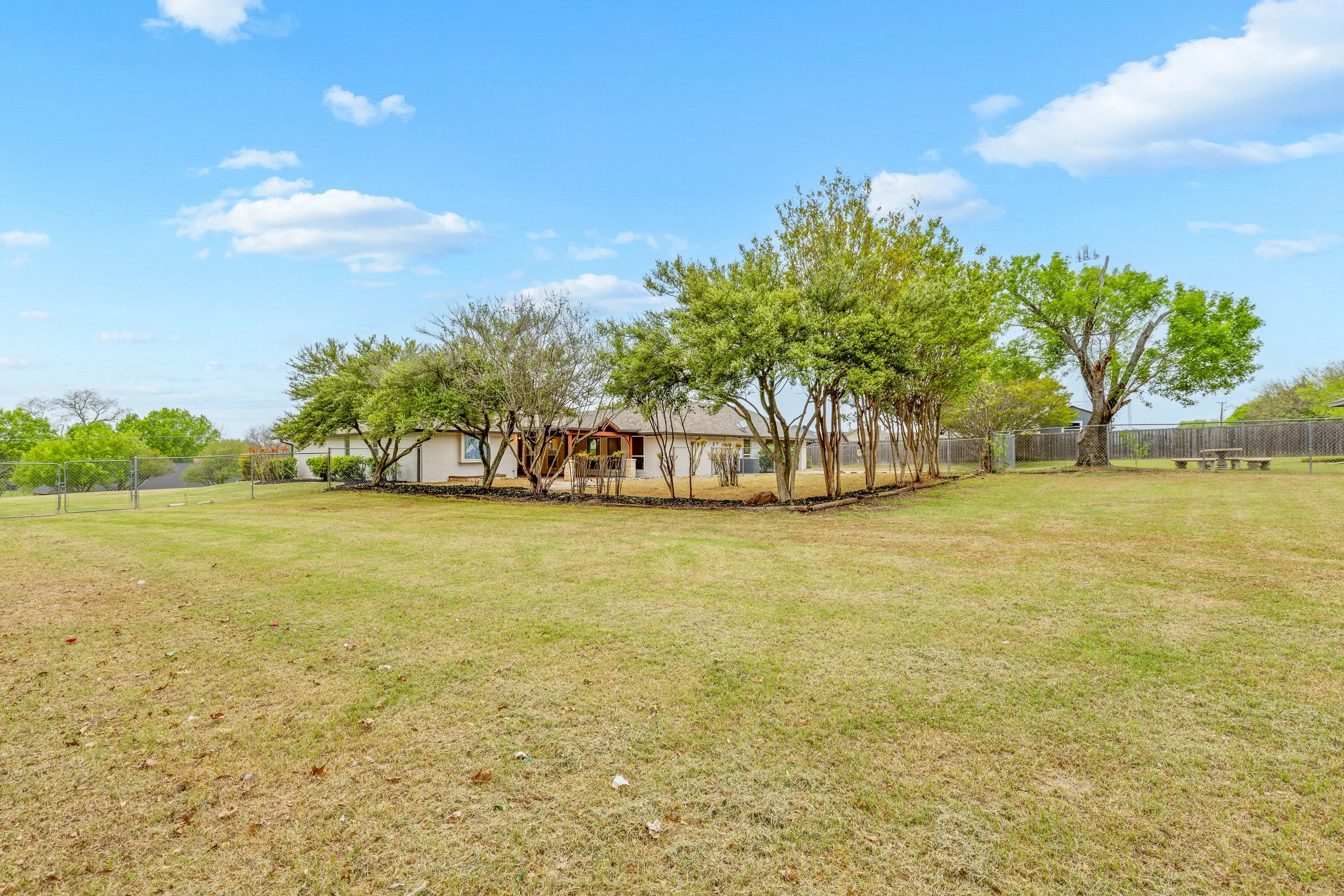 054 Backyard - 2850 Oak Tree.jpg