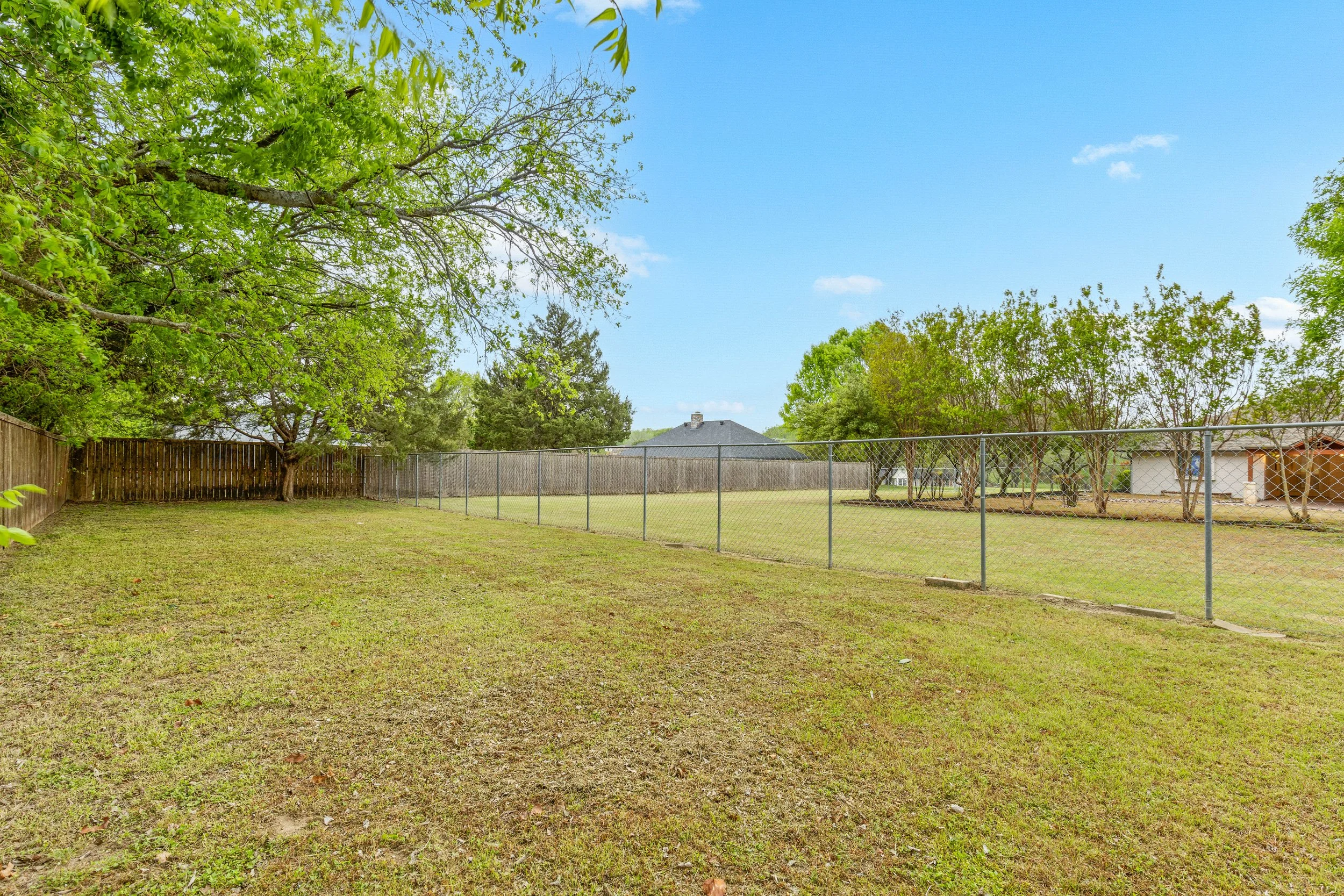 060 Backyard - 2850 Oak Tree.jpg