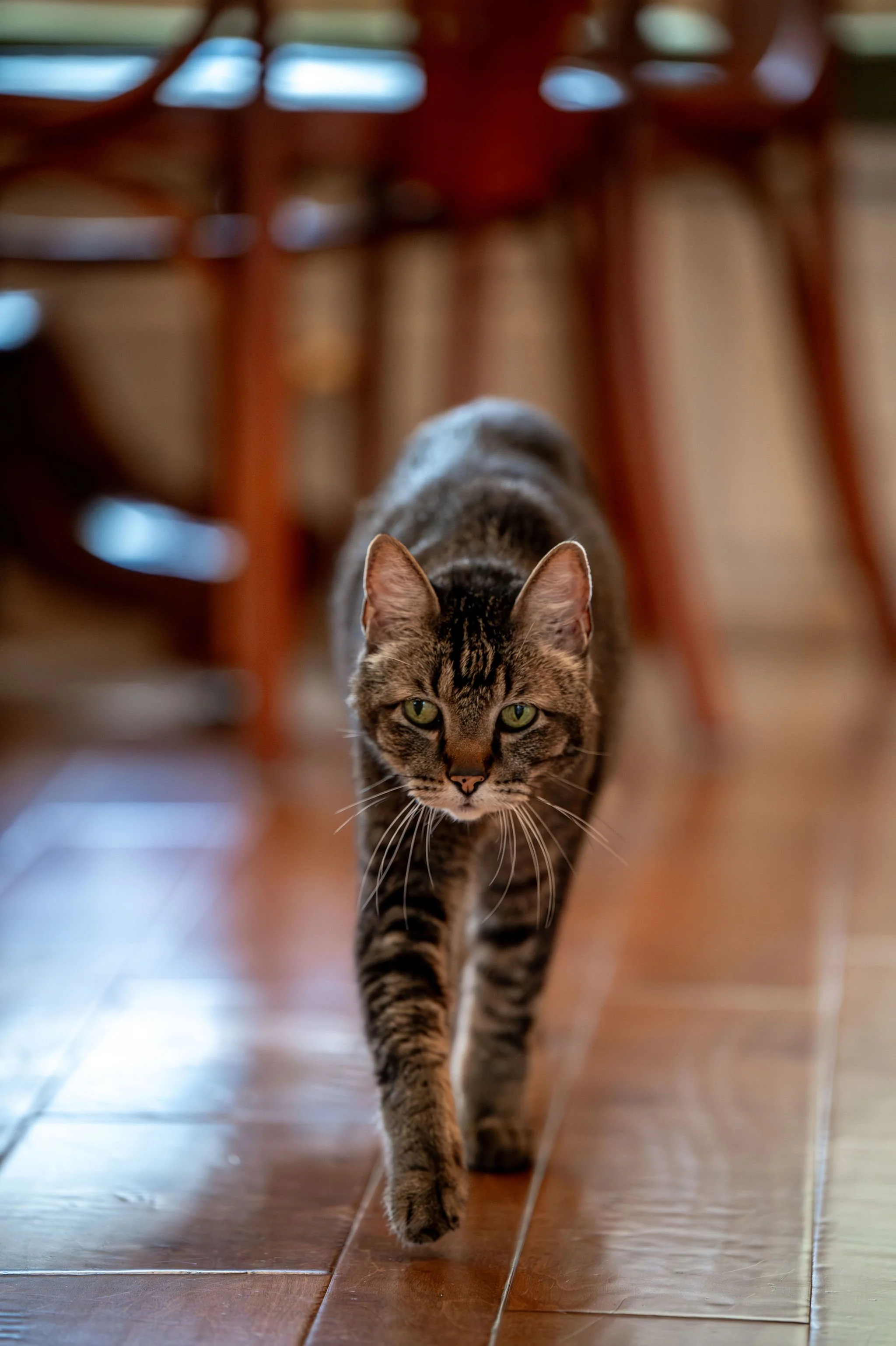 DSC_7258.jpg