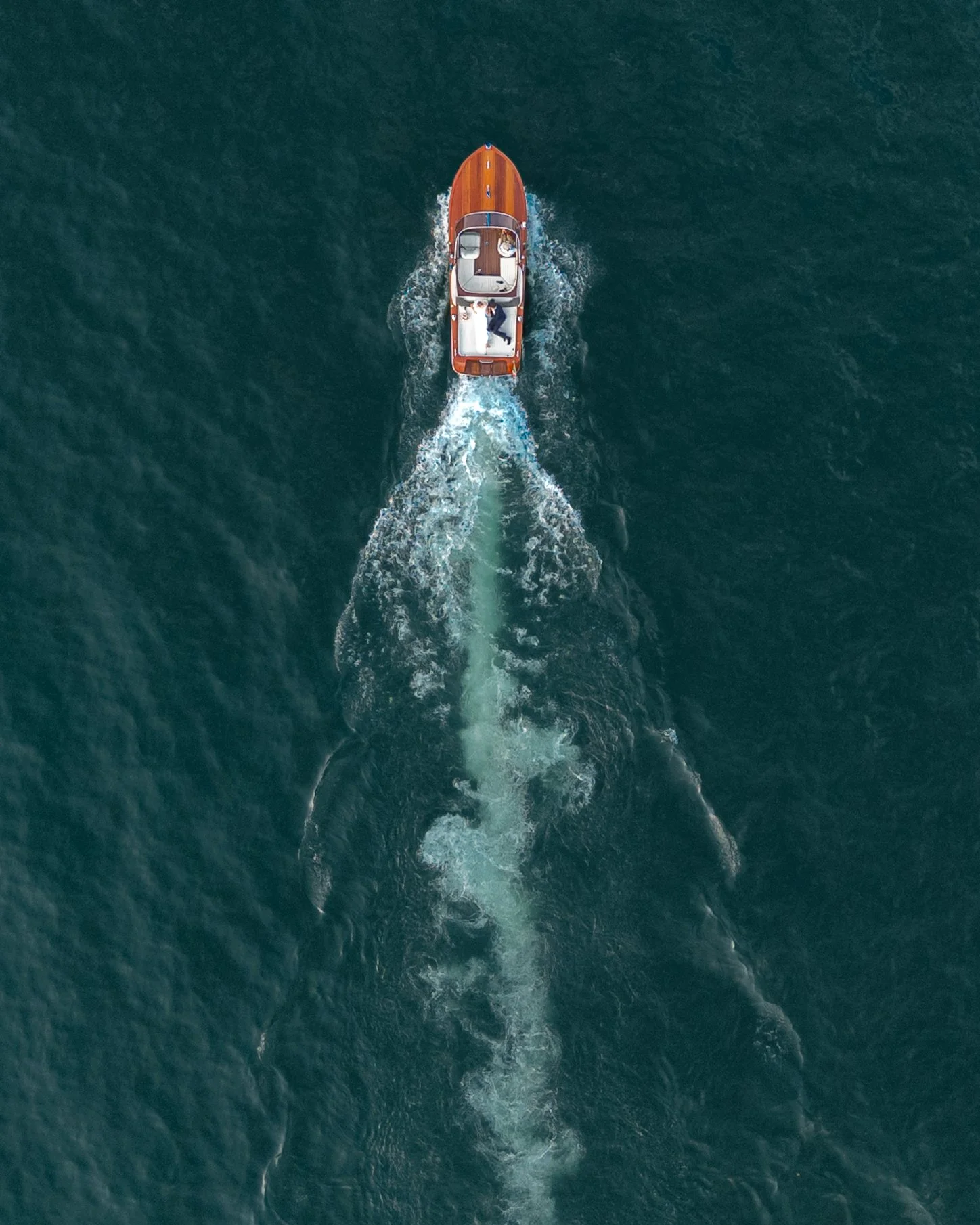 DJI_20250715184459_0128_D.jpg