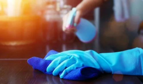 Basic House Clean