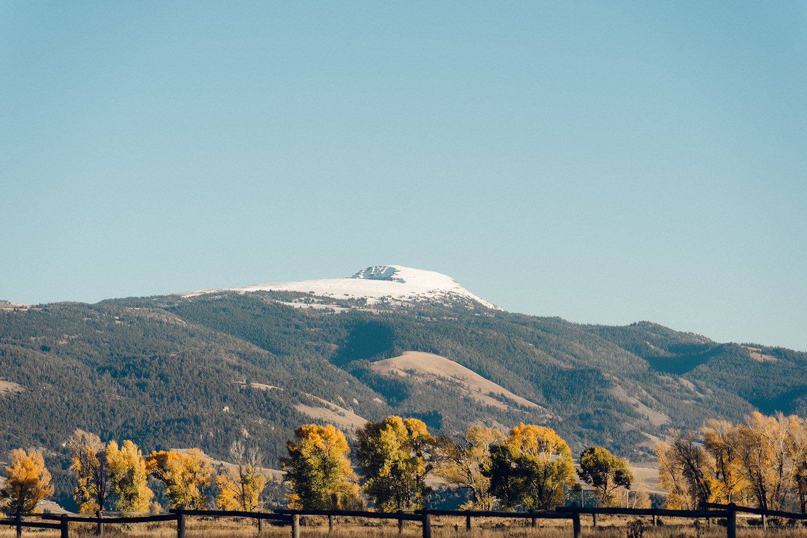 Wyoming With Love - Color-2.jpg