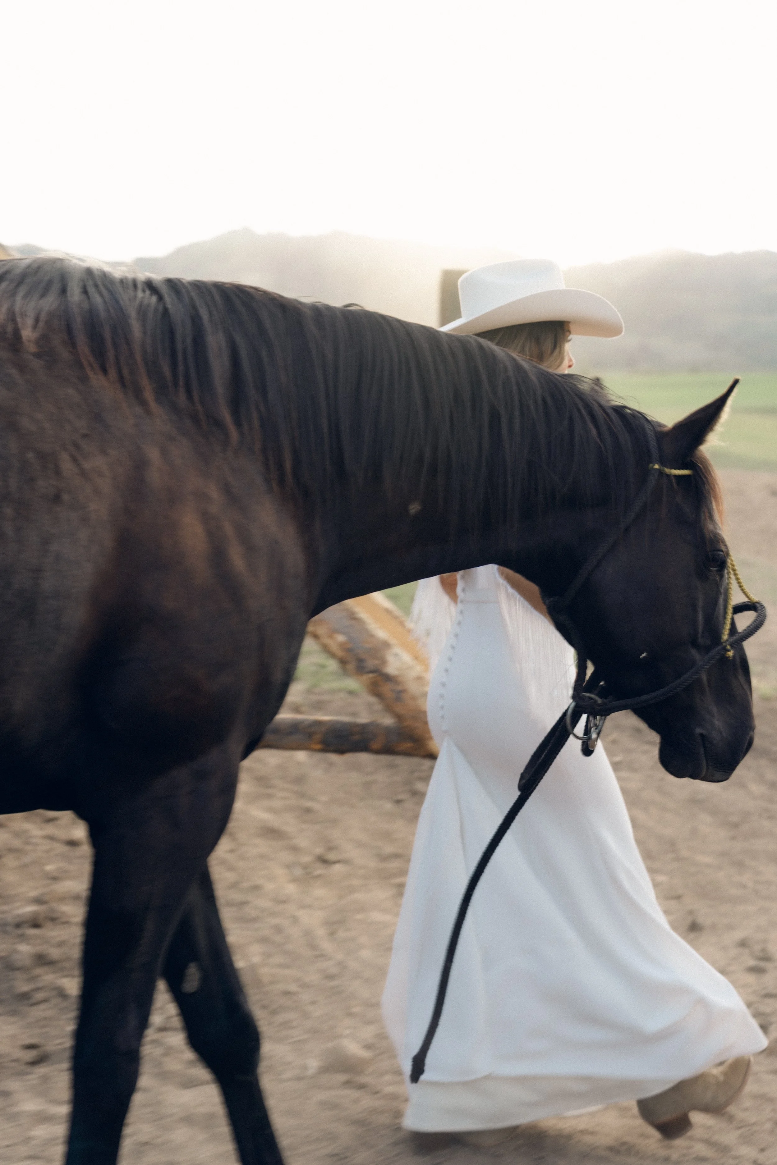 Matt & Bailey-601.jpg