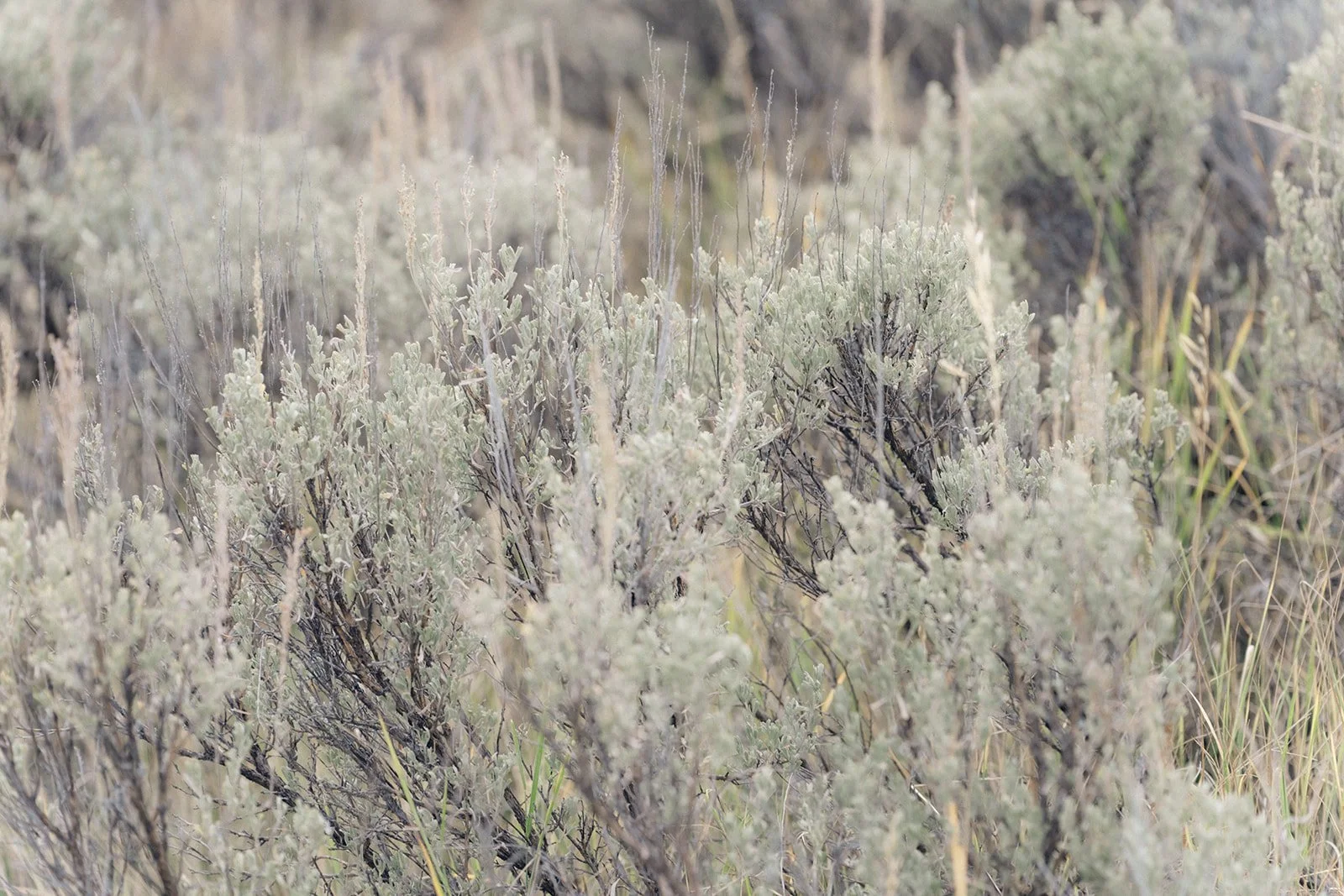 moneyhun oct color-129.jpg