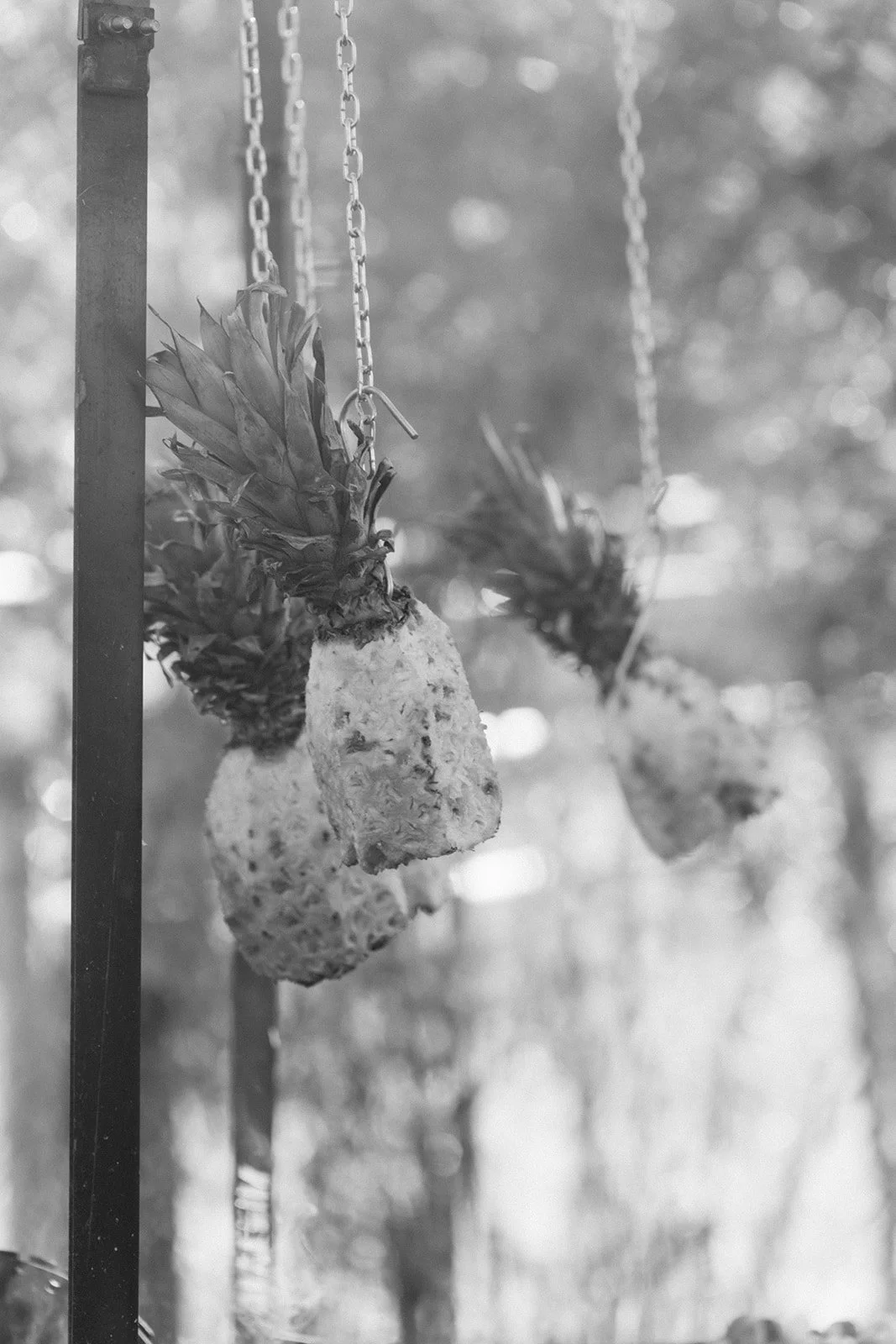 Matt & Bailey Bnw-452.jpg