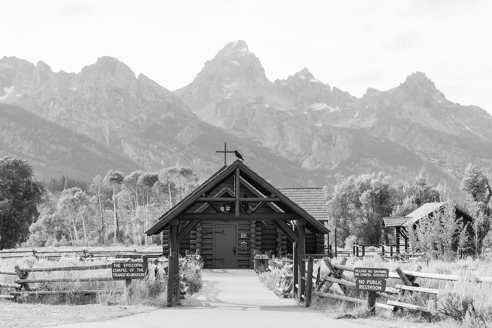 Centennial Celebration Bnw-9.jpg