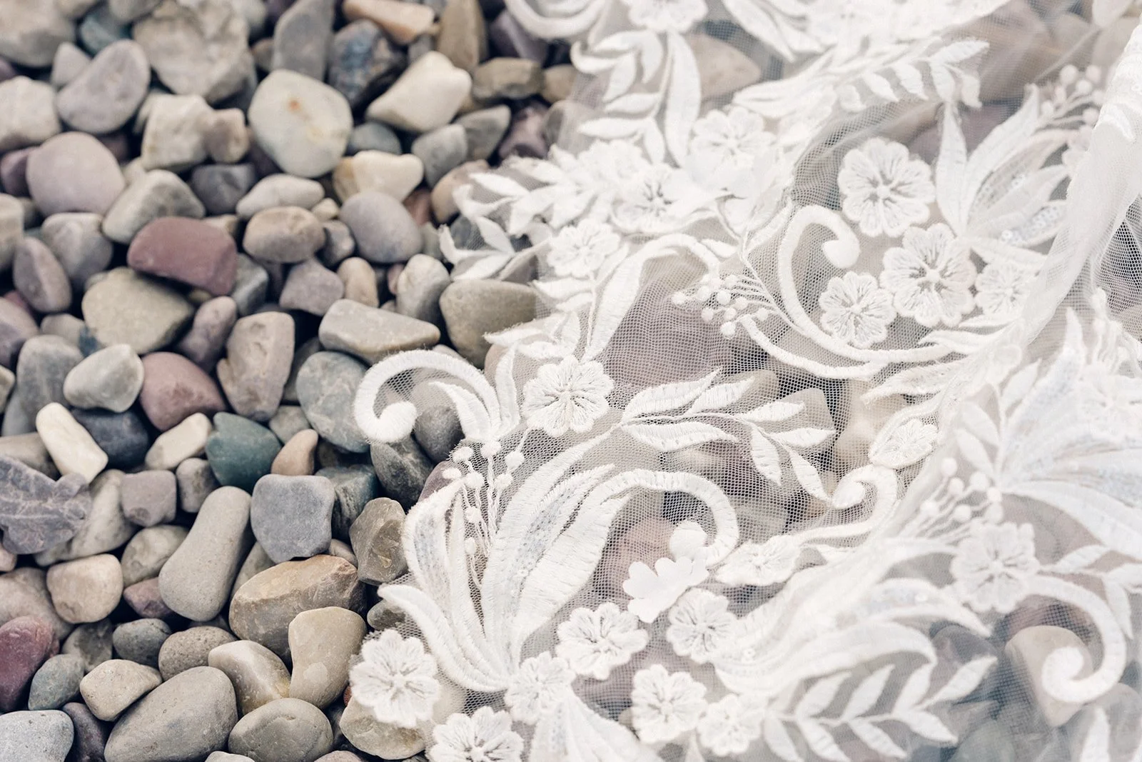 moneyhun oct color-30.jpg