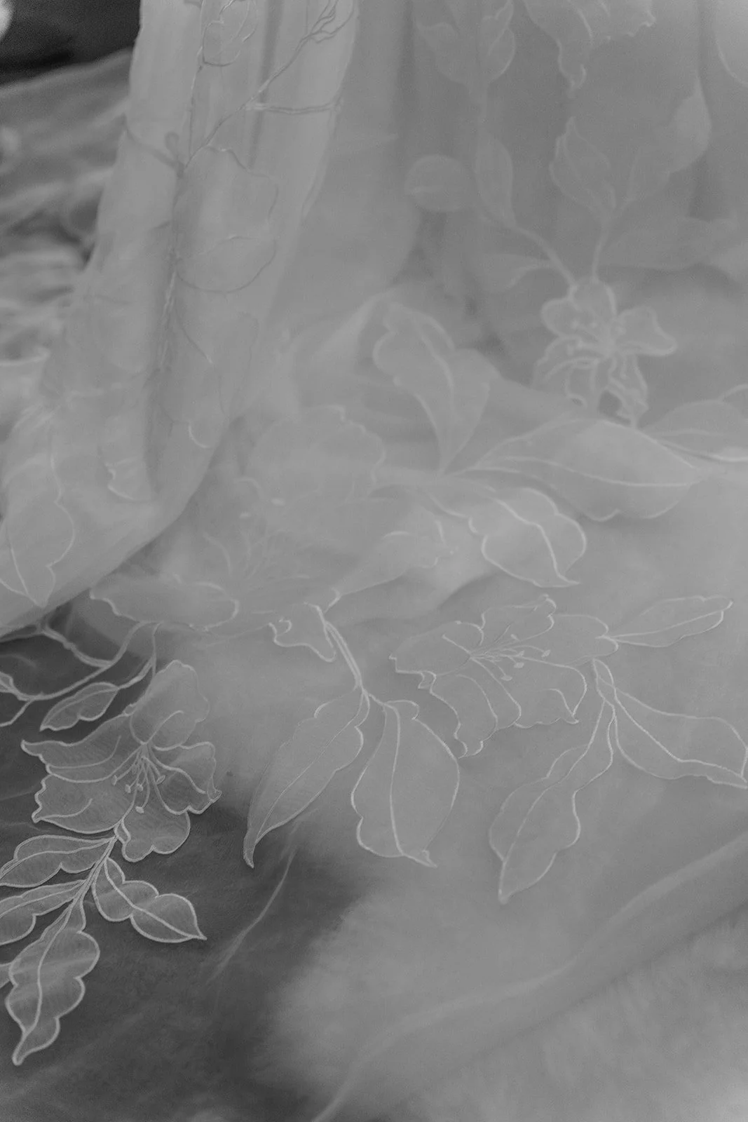 Kiana Bnw-29.jpg