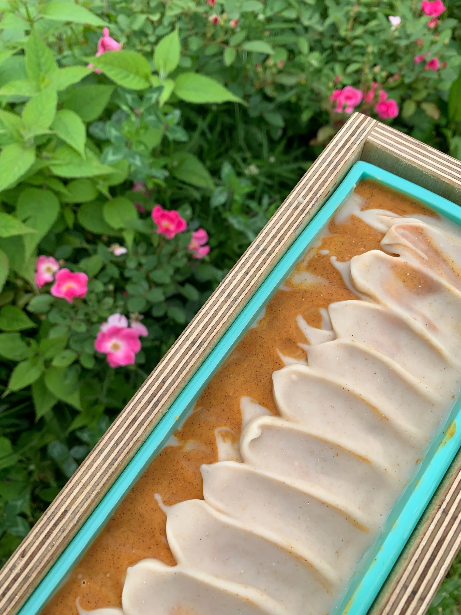 Oat & Carrot ~ All Natural, Goat Milk Soap (Unscented)