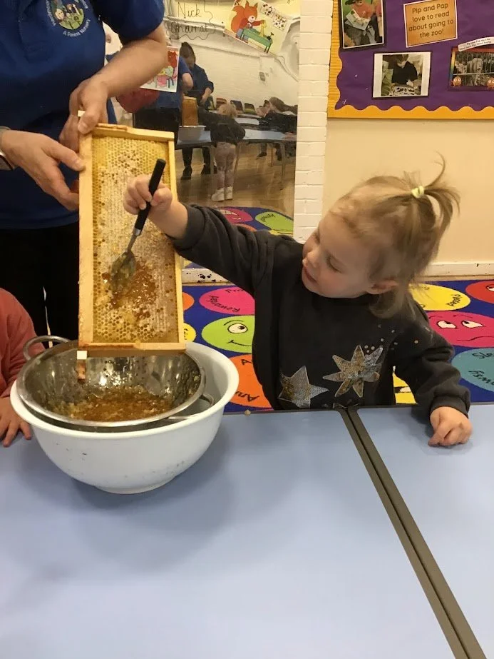 Bees 3.jpg