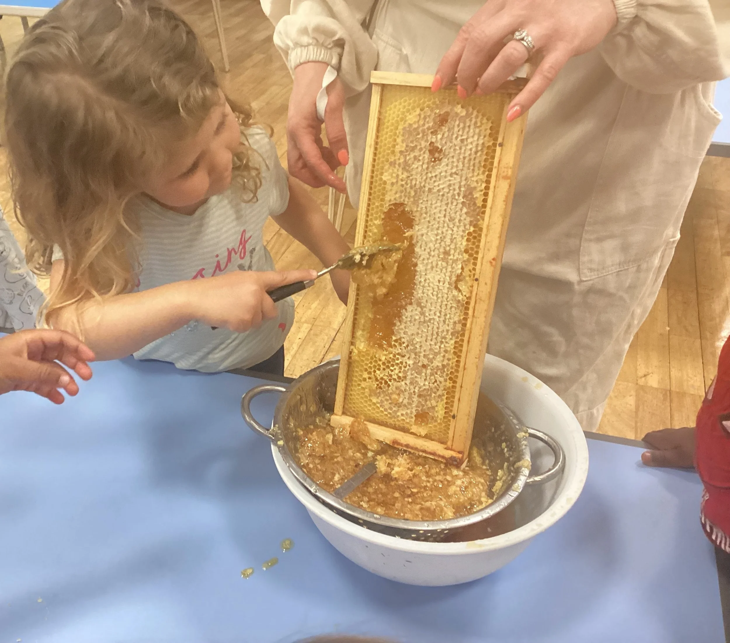 Bees 7.JPG