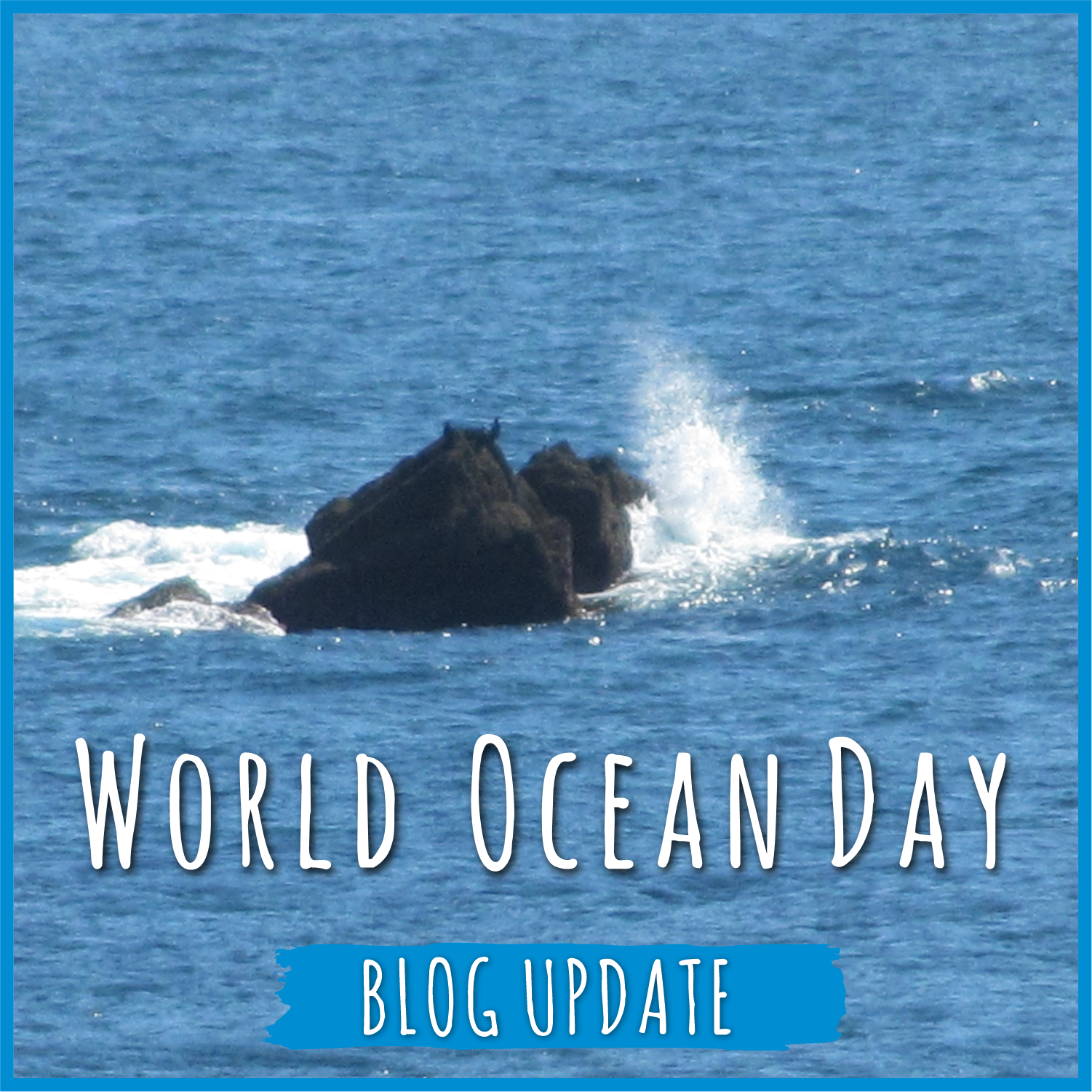 World Ocean Day