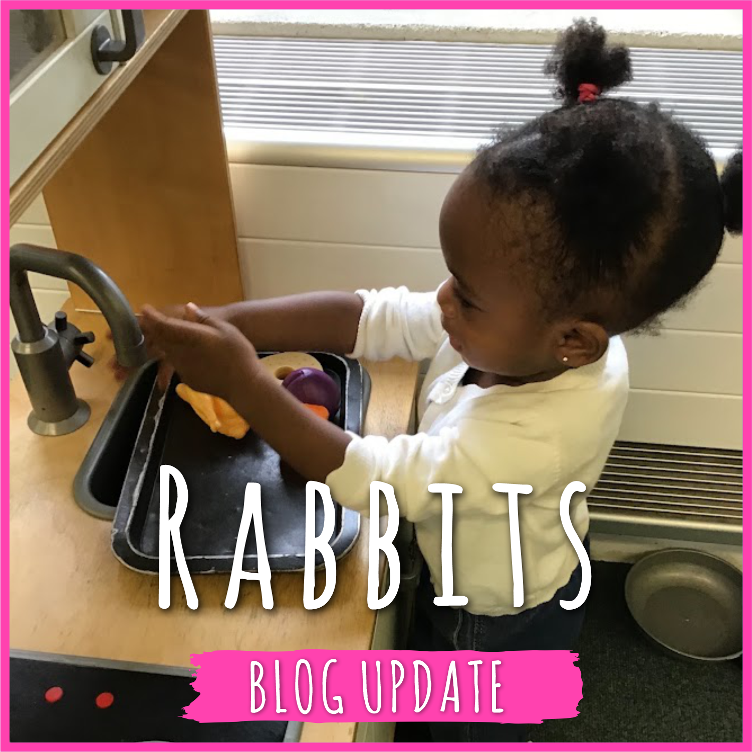 Rabbits blog: