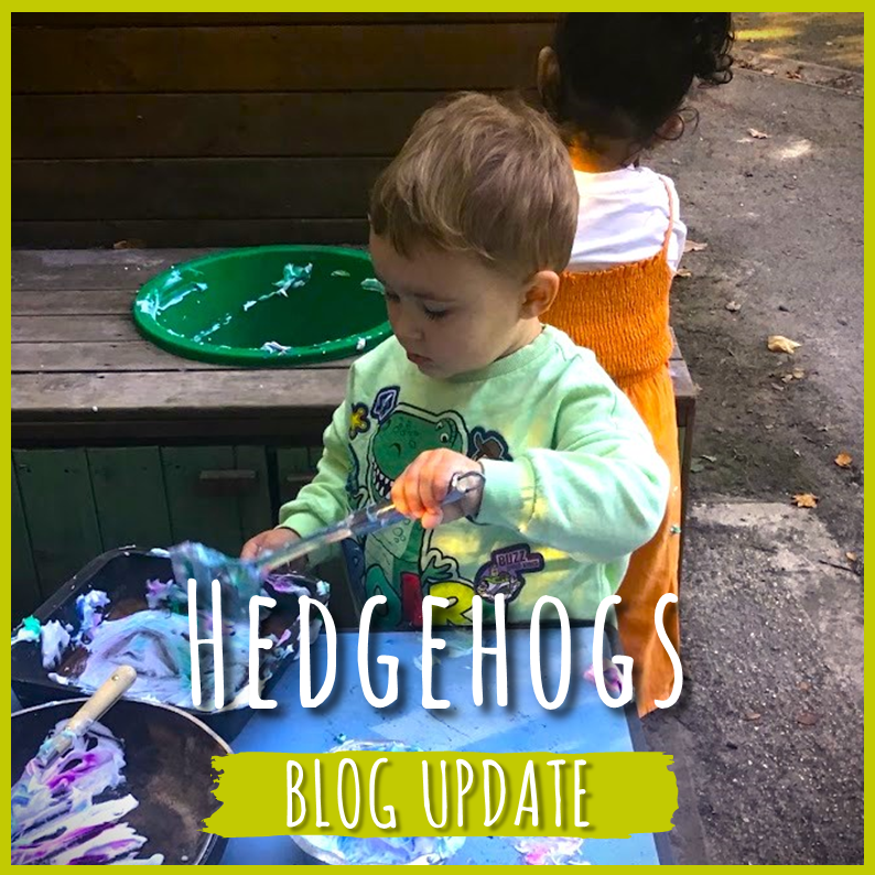 Hedgehogs blog: