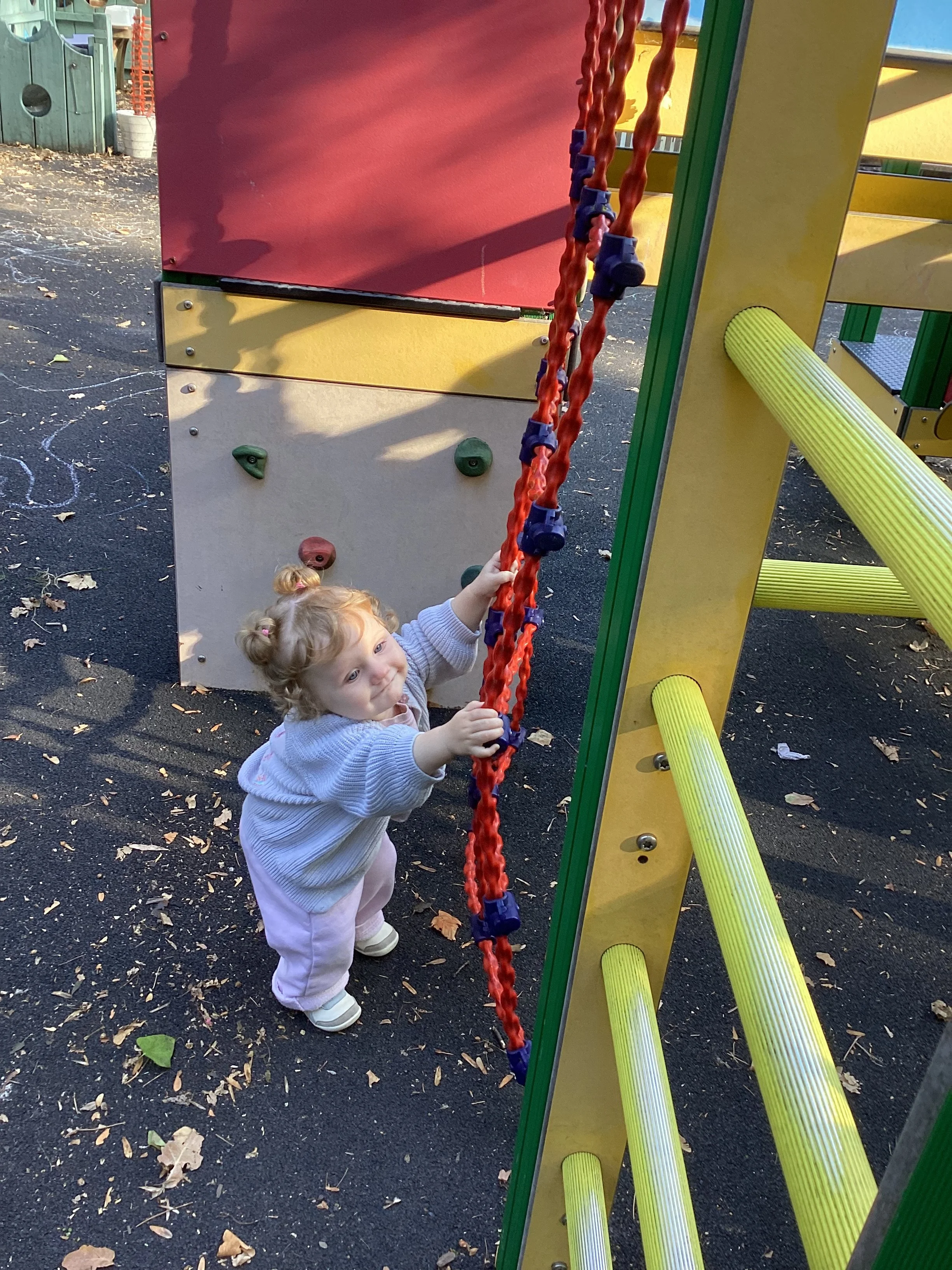 IMG_3776.jpeg