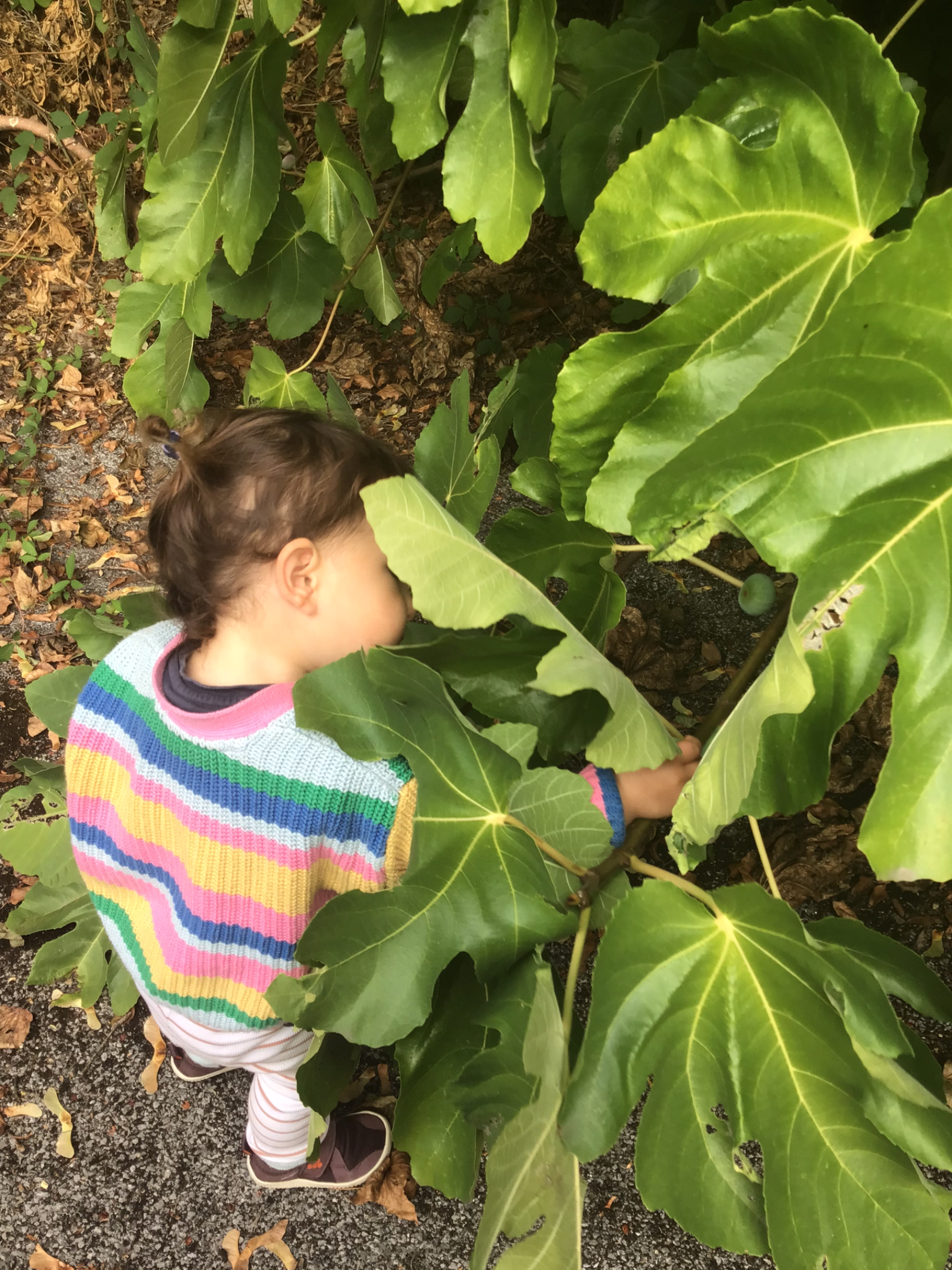 IMG_6133.png