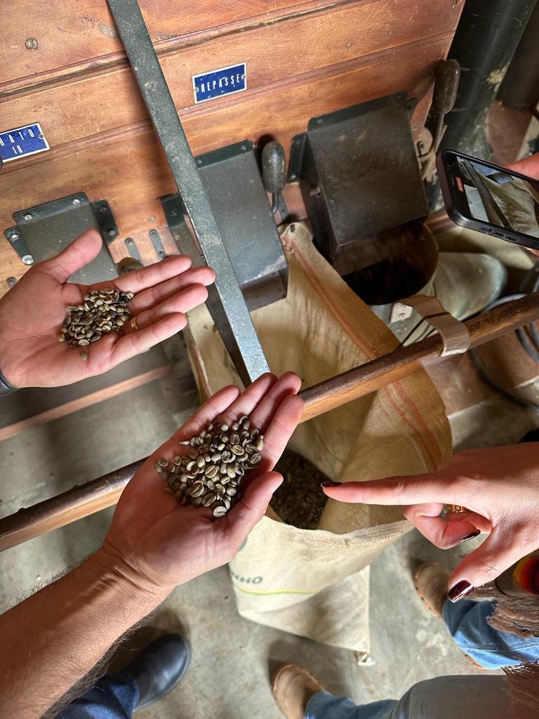 Rauscher Coffee Expedition 2022 - Brazil