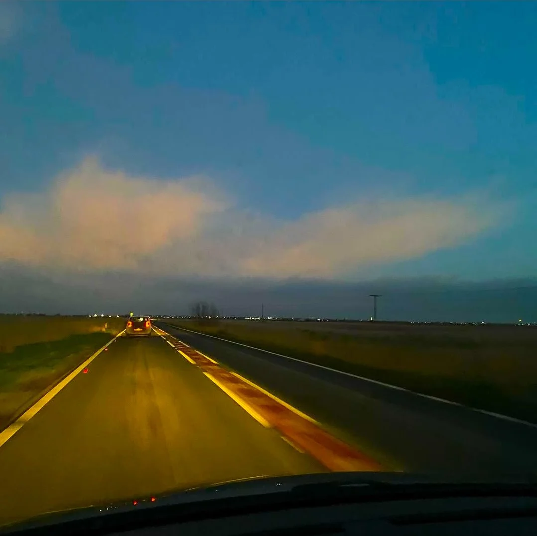 An Economy of Starlings by Lotte L.S.