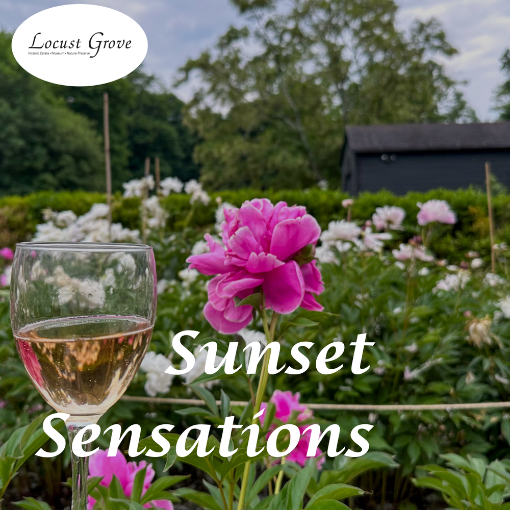 Sunset Sensations