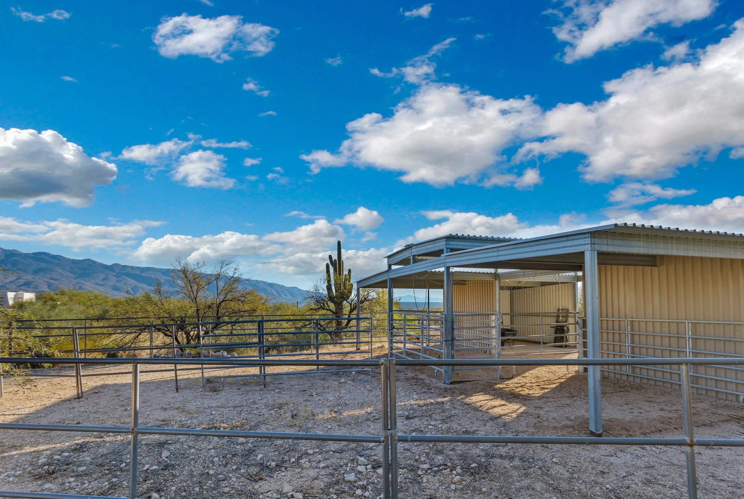 Horse Facilities.jpg