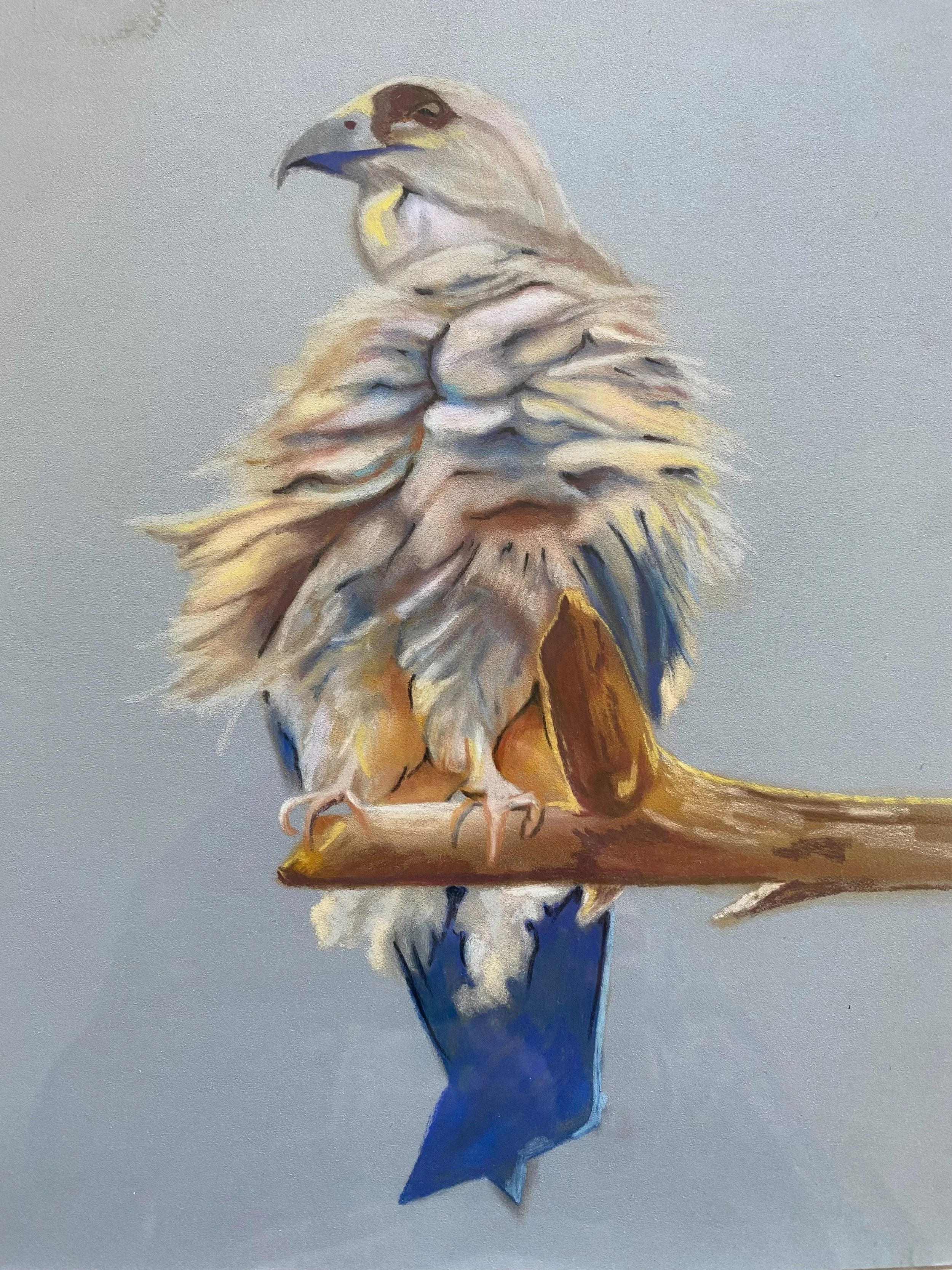 Painting of a bird of prey, possibly a hawk or eagle, perched on a branch with detailed feathers and a sharp beak, against a plain background.
