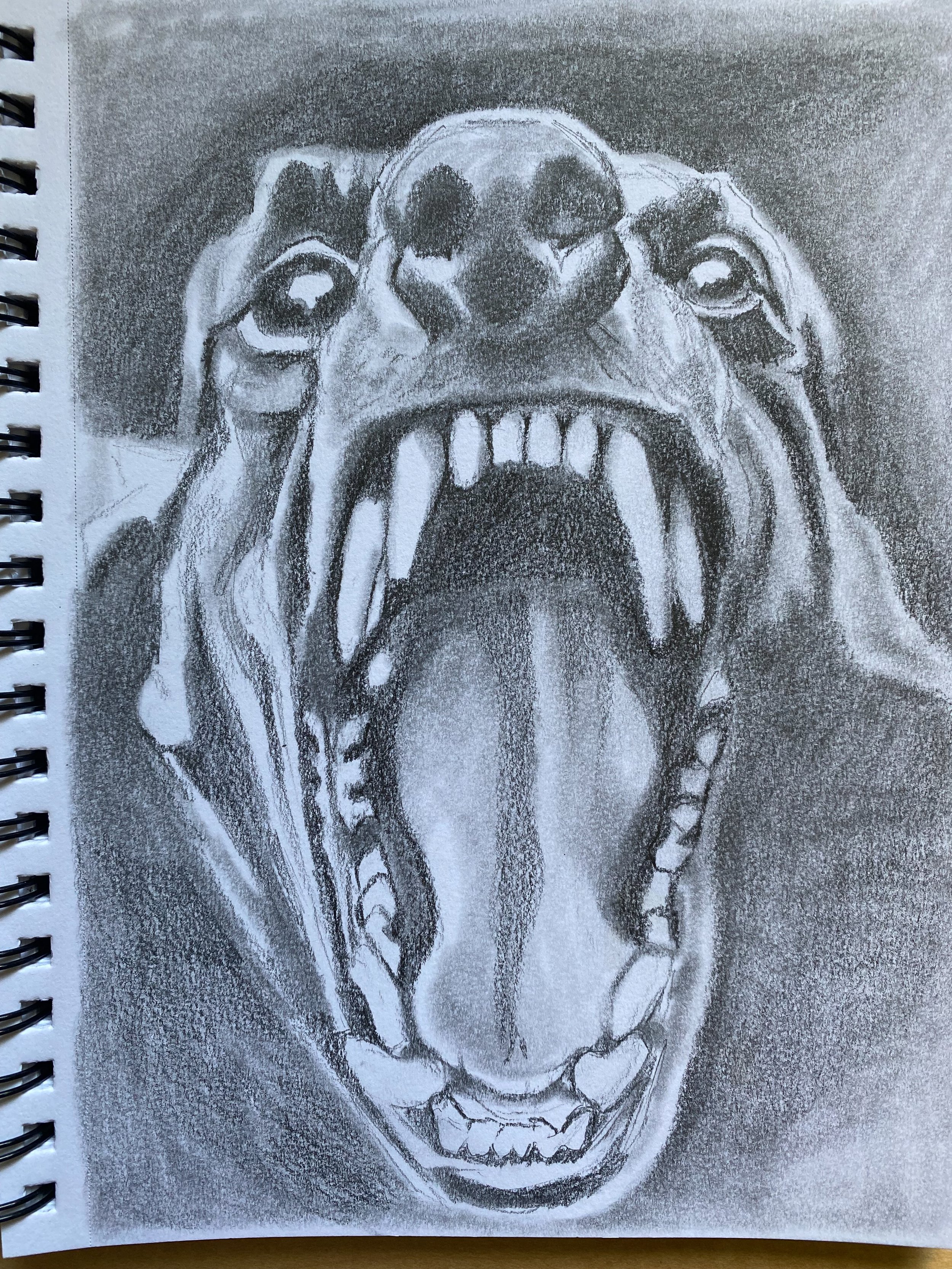 Graphite scary dog drawing