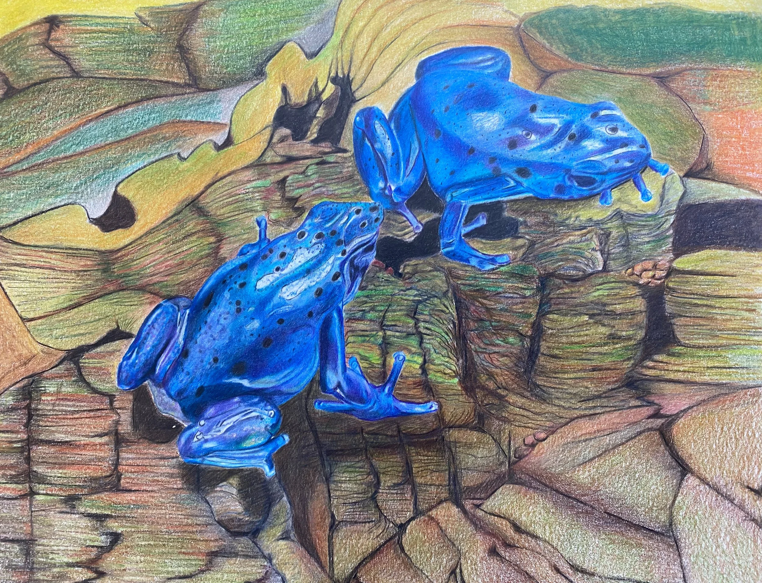 Drawing of three blue frogs on a textured brown and green rock surface.