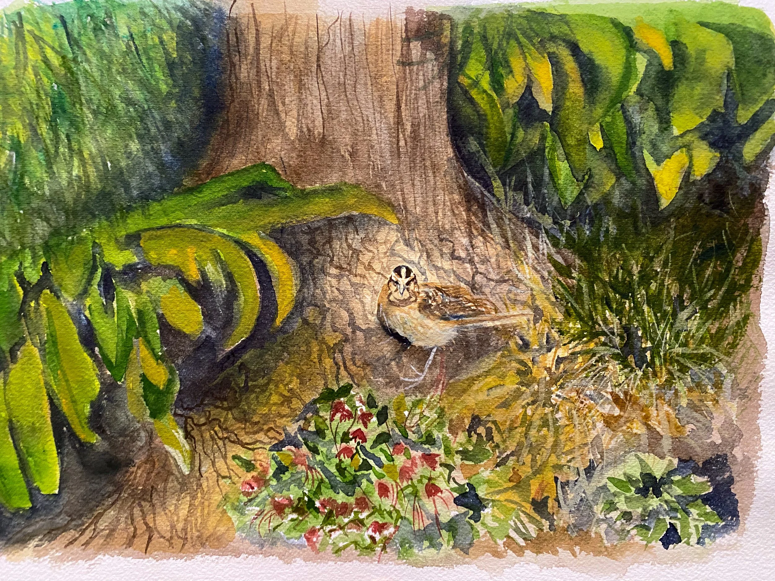 Watercolor painting of a small bird standing on the ground near a large tree trunk, surrounded by green foliage and some pink flowers.