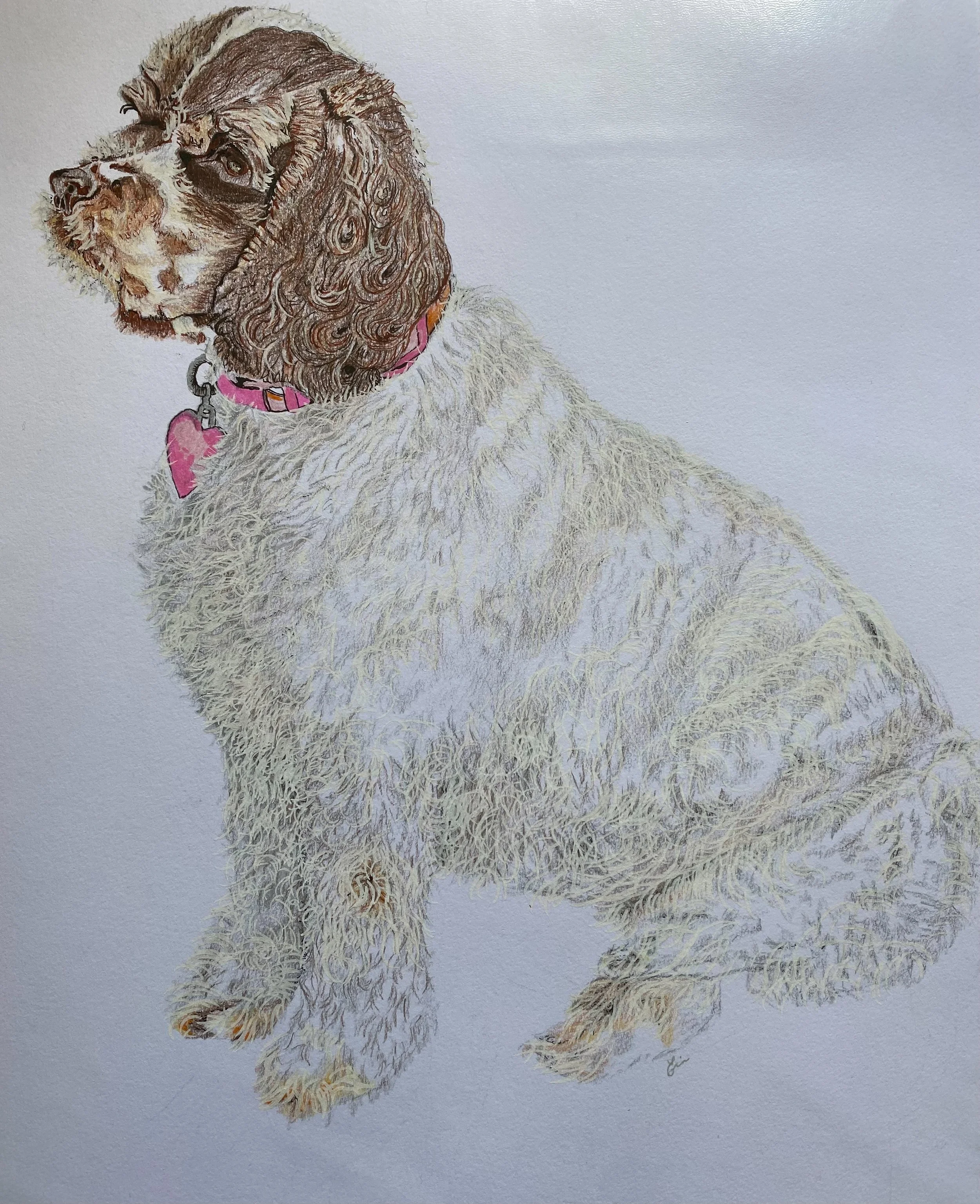 MIXED MEDIA COLORED PENCIL PEN