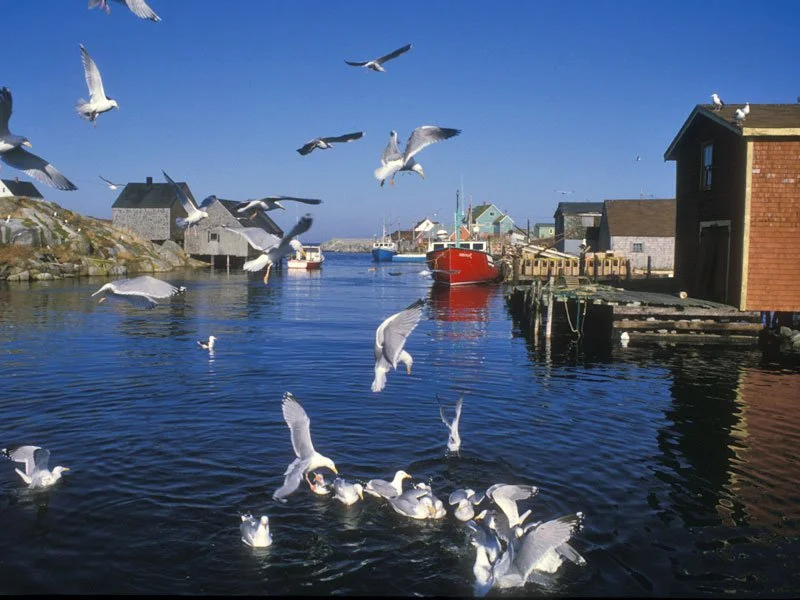 peggyscovewharf.jpg