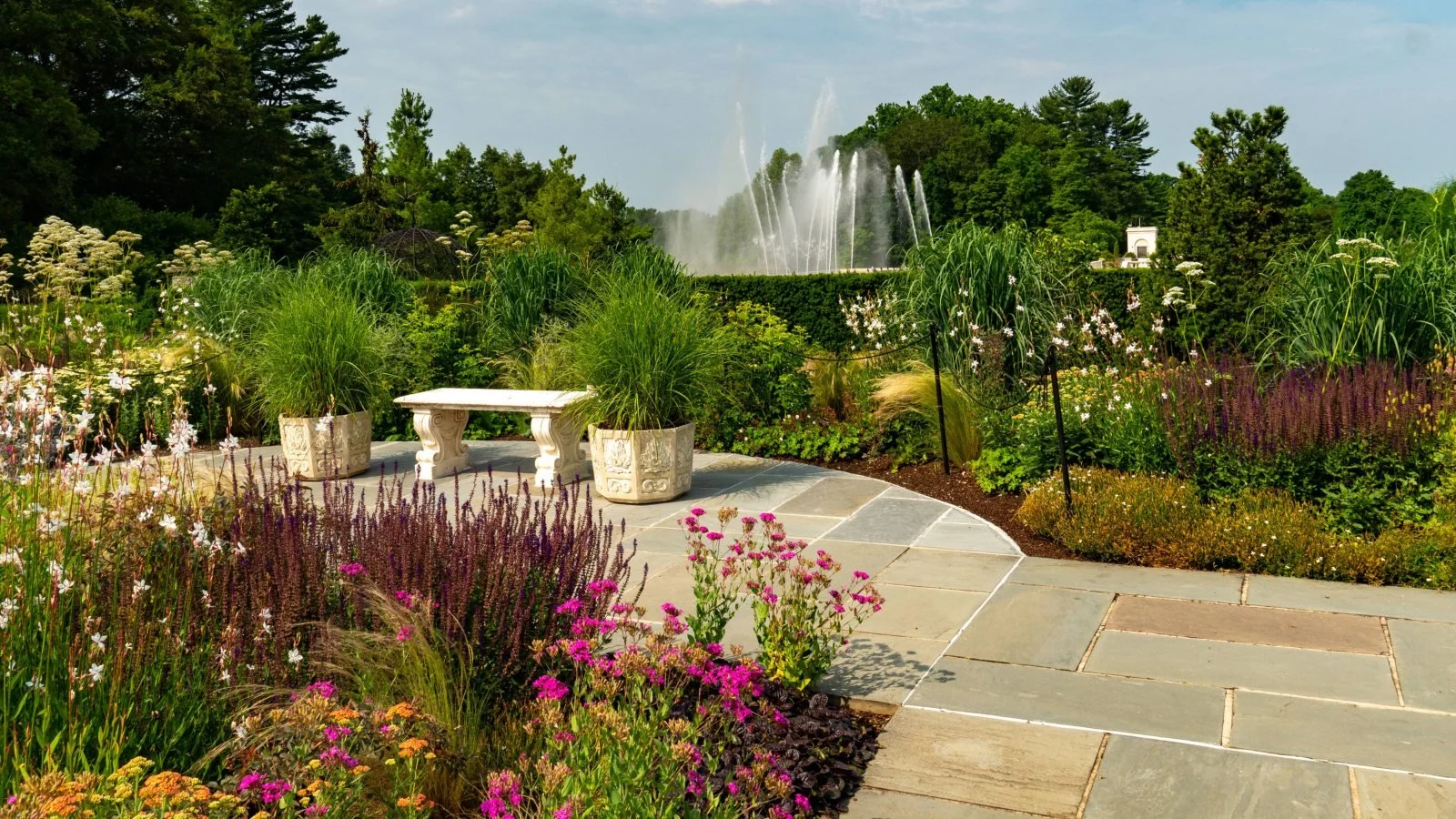 517487_Summer_Rose-Garden _Carol-DeGuiseppi.jpg