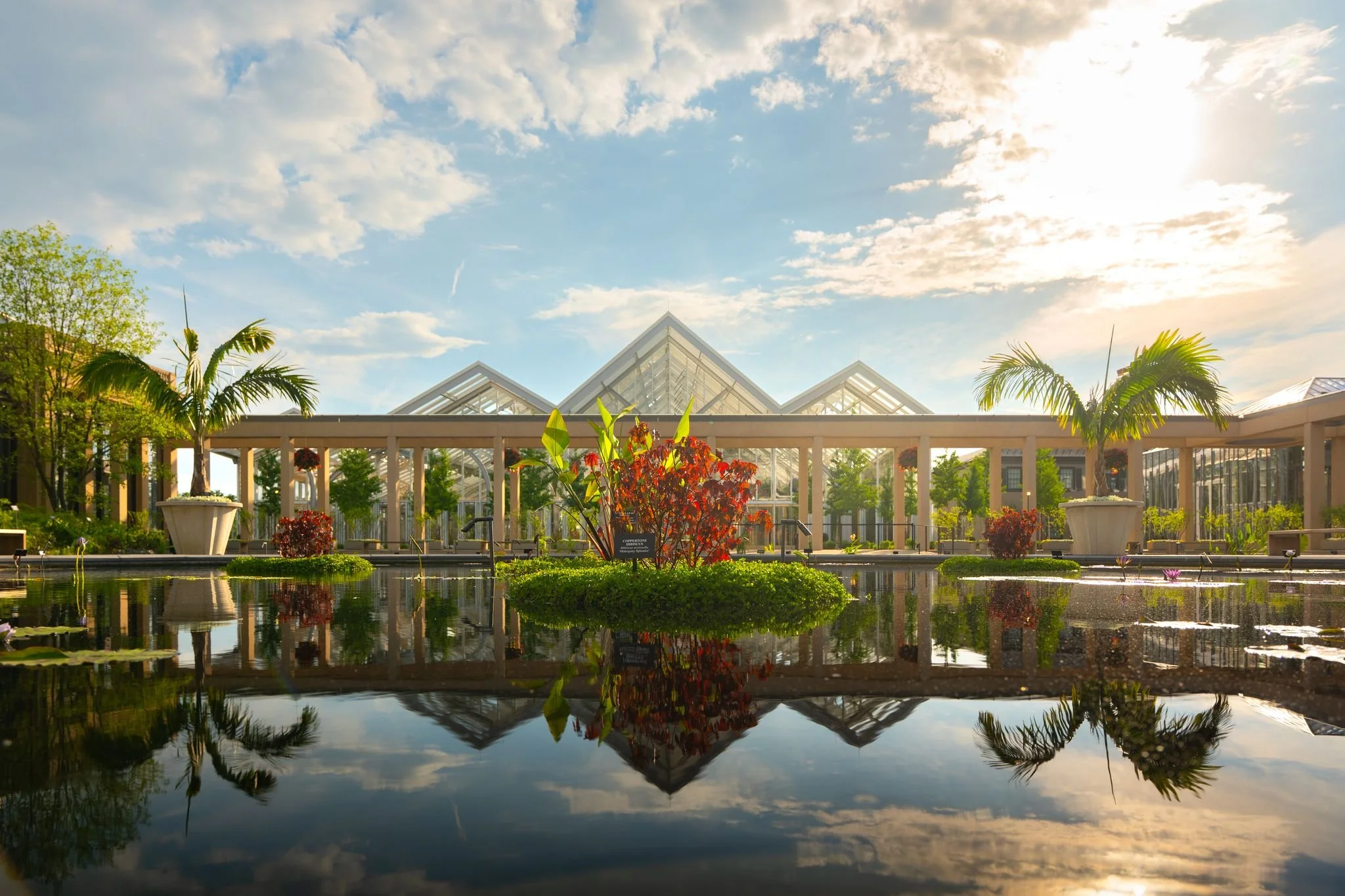 Longwood Gardens Waterlily court Holden Barnes.jpeg
