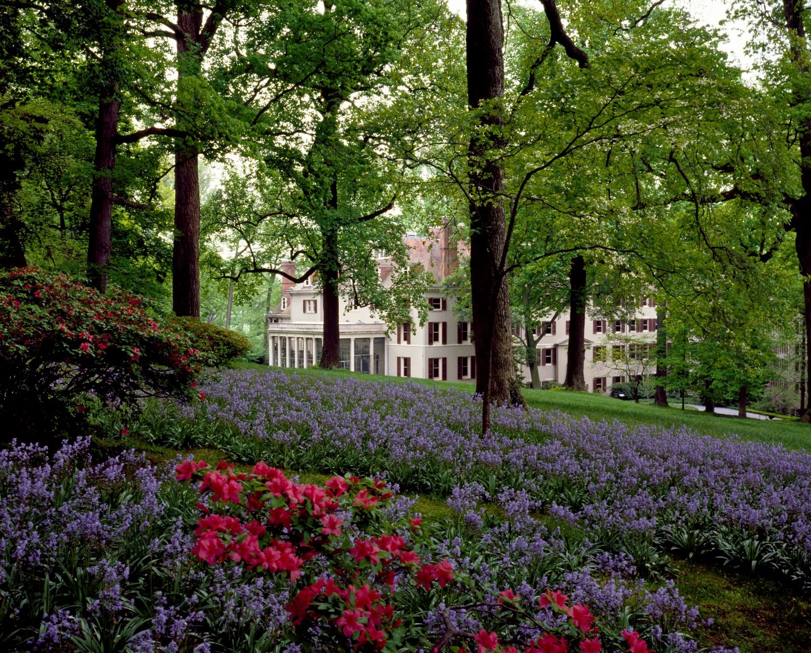 Winterthur Gardens.2.jpeg