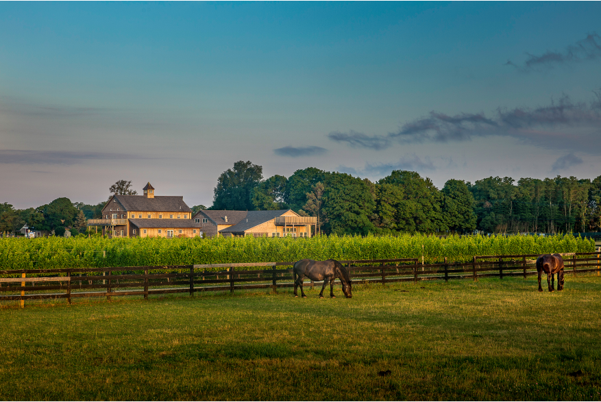Discover Long Island.countryside.png
