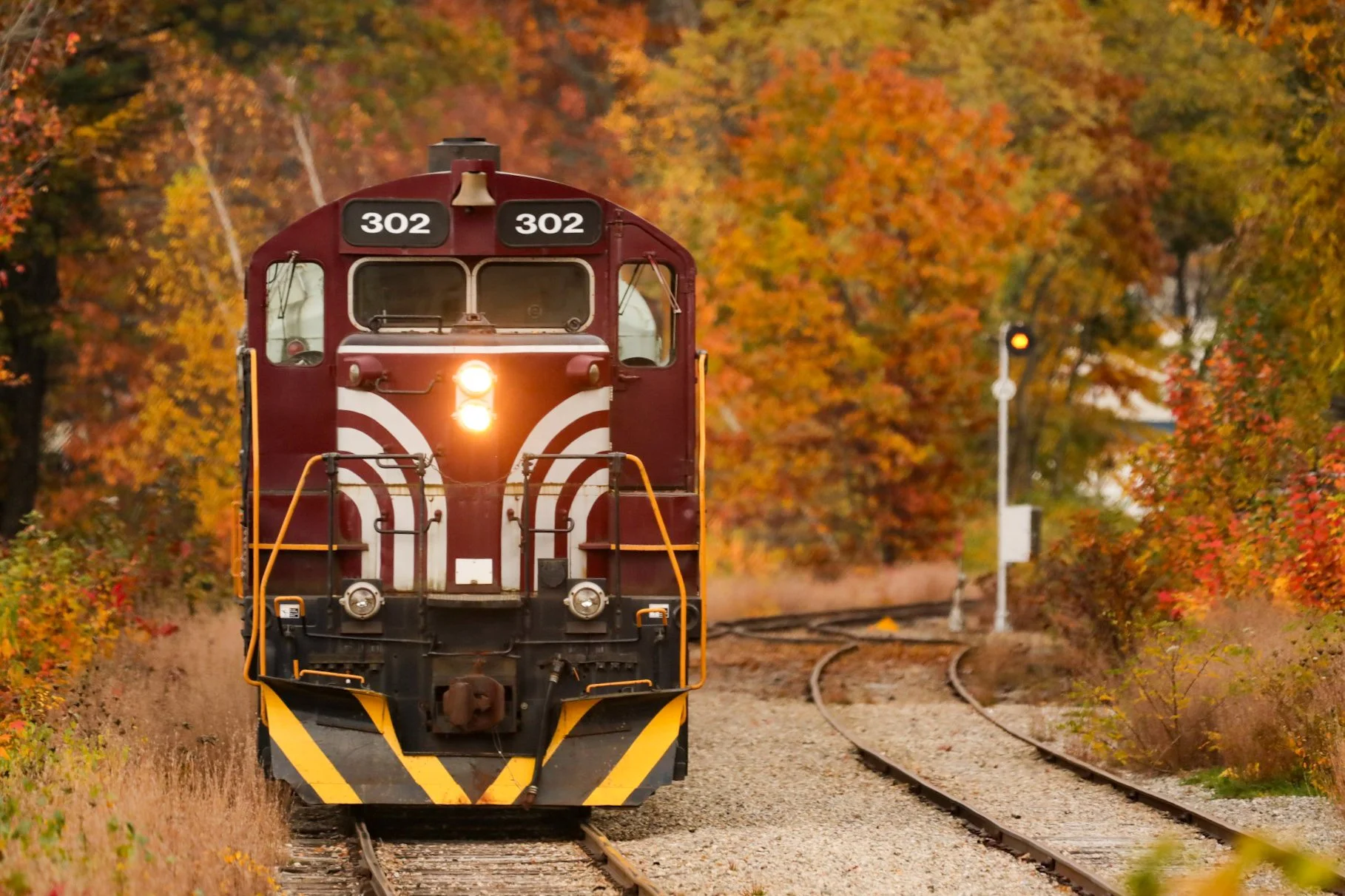 Winni Fall Ride_Close Up 2.jpg