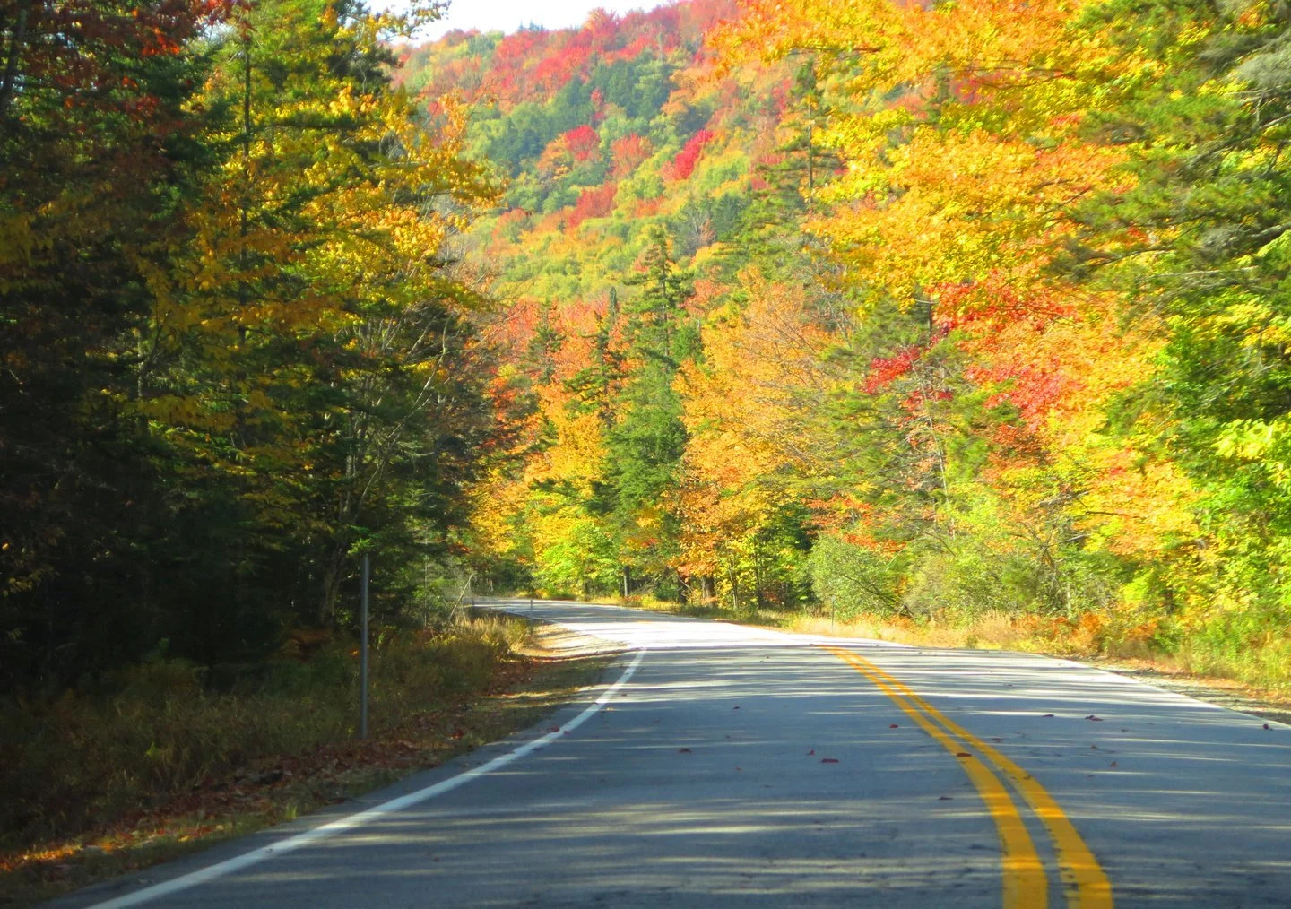 Fall.Kacamangus Highway.jpg