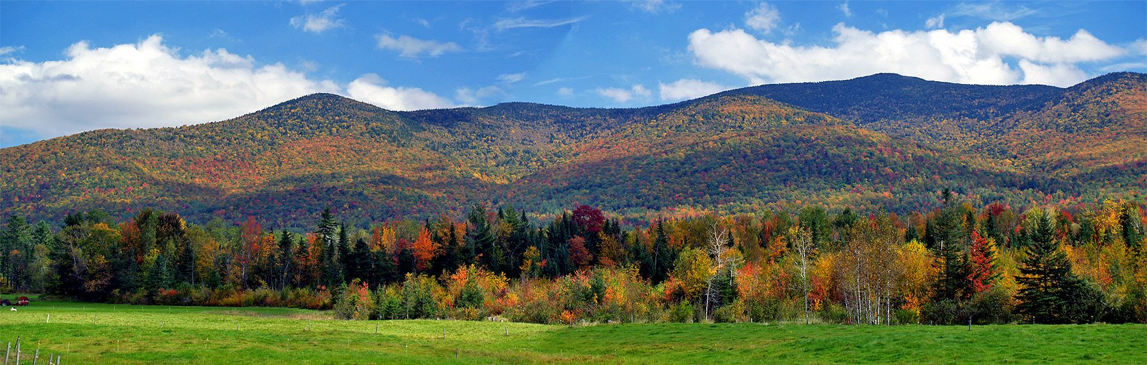 shot of white mountains.jpg