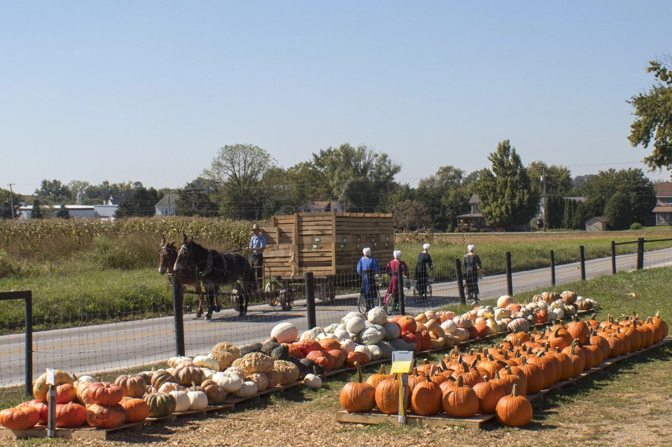 Discover Lancaster.jpg