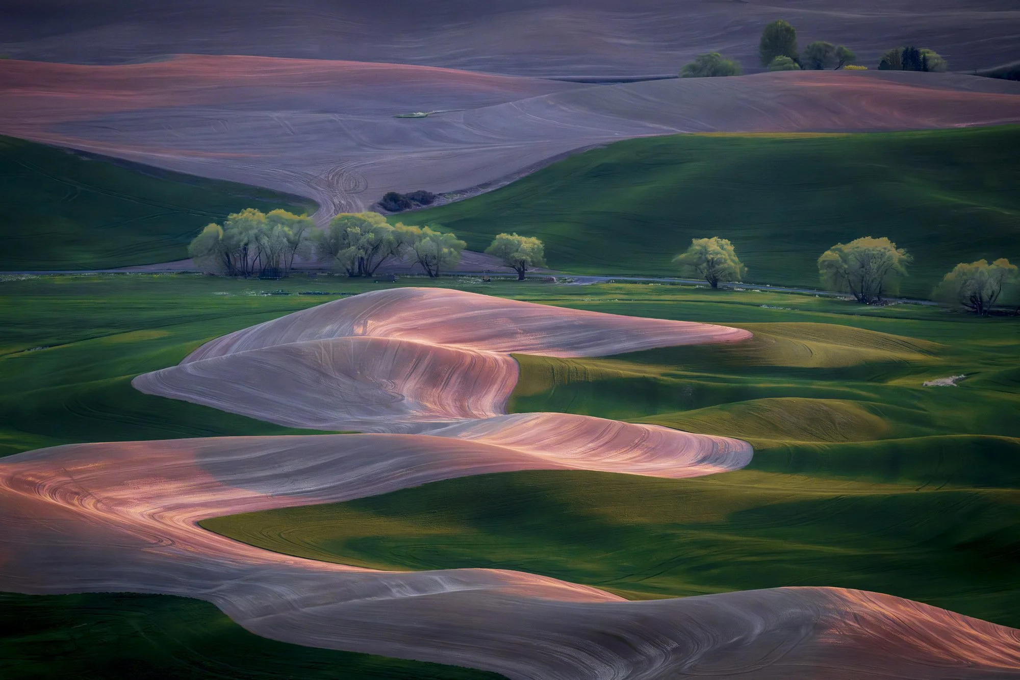 Steptoe Butte  - Palouse